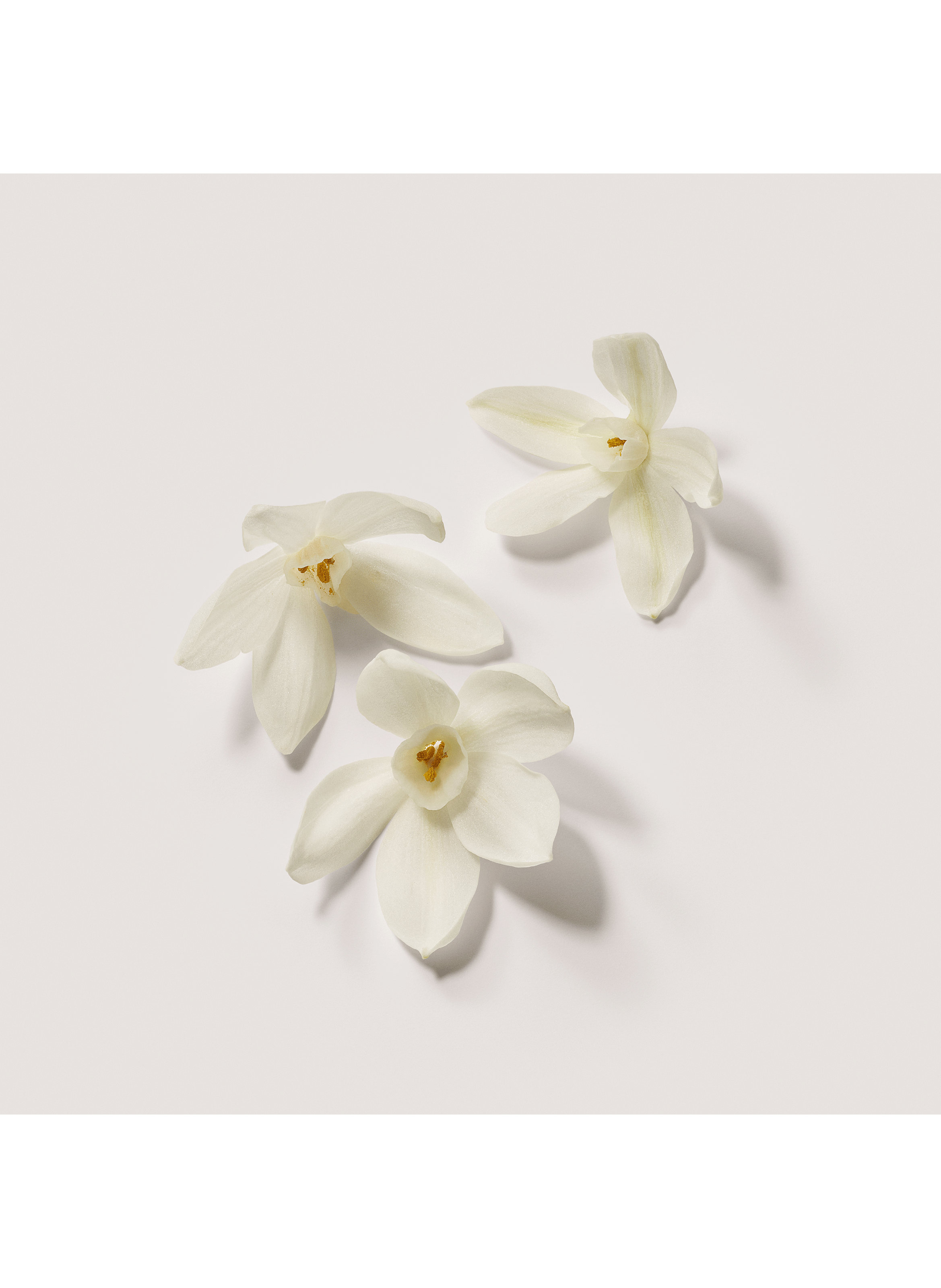 Eau de parfum - Néroli du Sud LAURA MERCIER No color