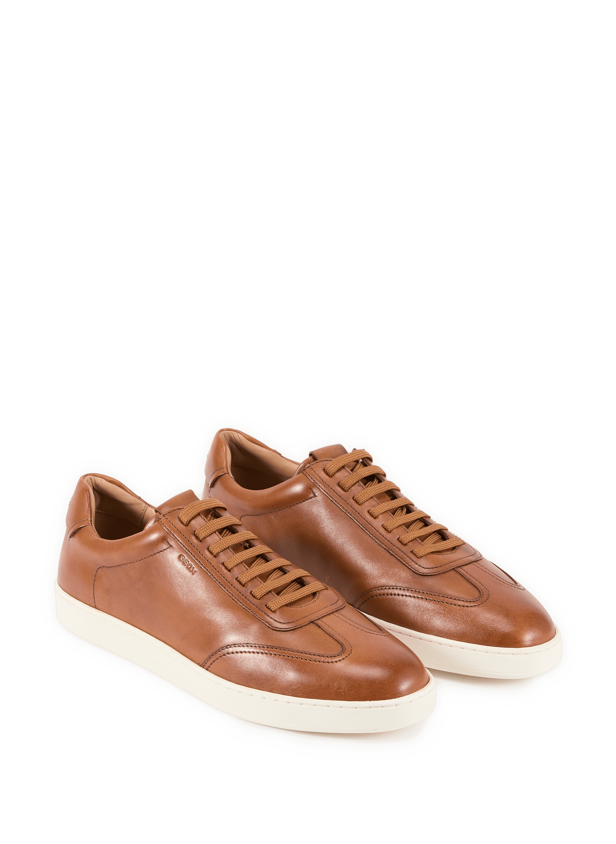 Low-top Regio leather sneakers GEOX Brown