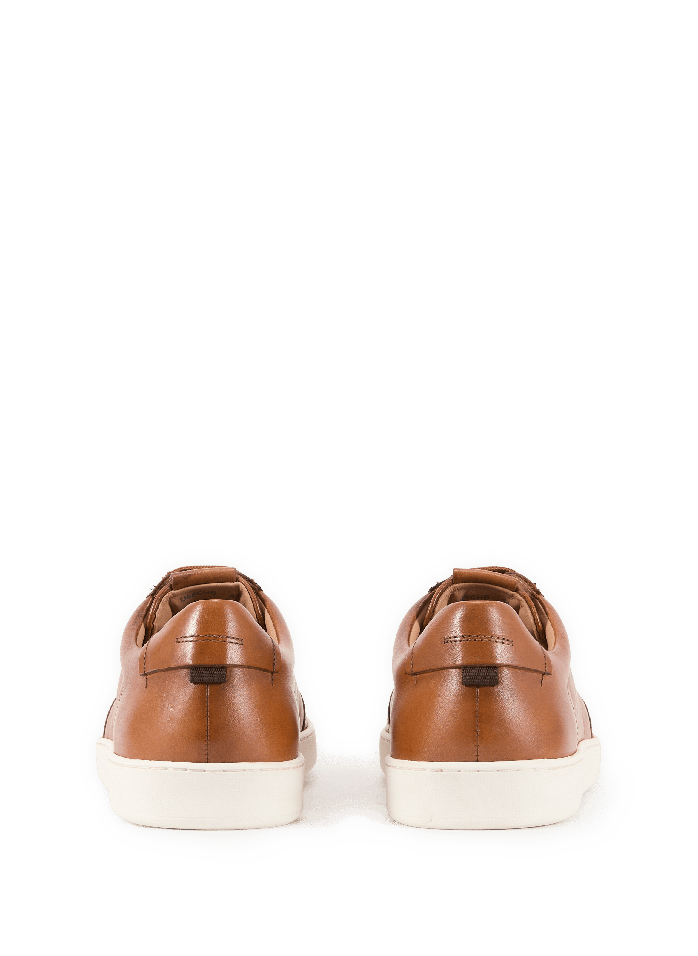 Low-top Regio leather sneakers GEOX Brown