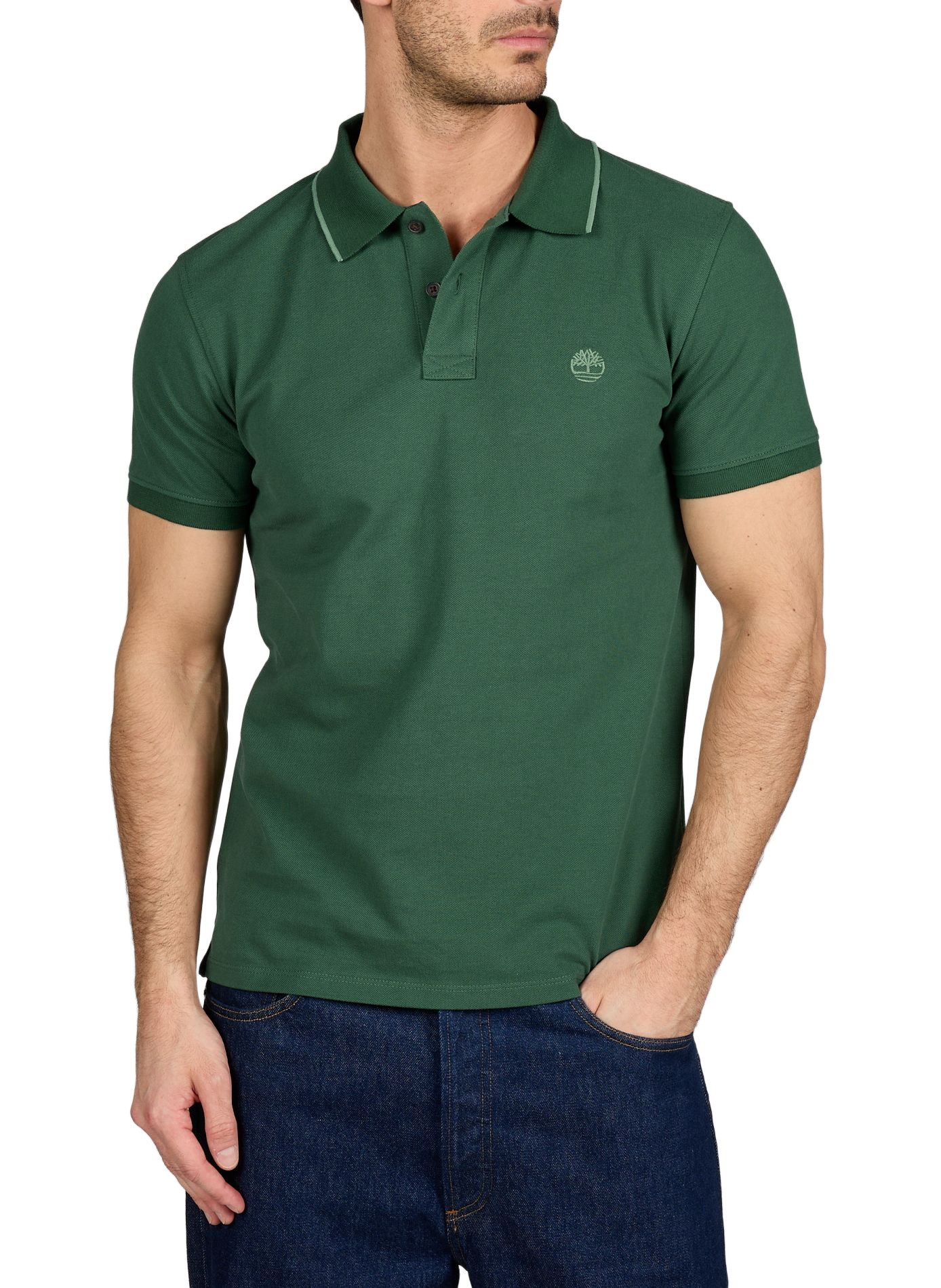 Short-sleeved plain cotton polo TIMBERLAND Green