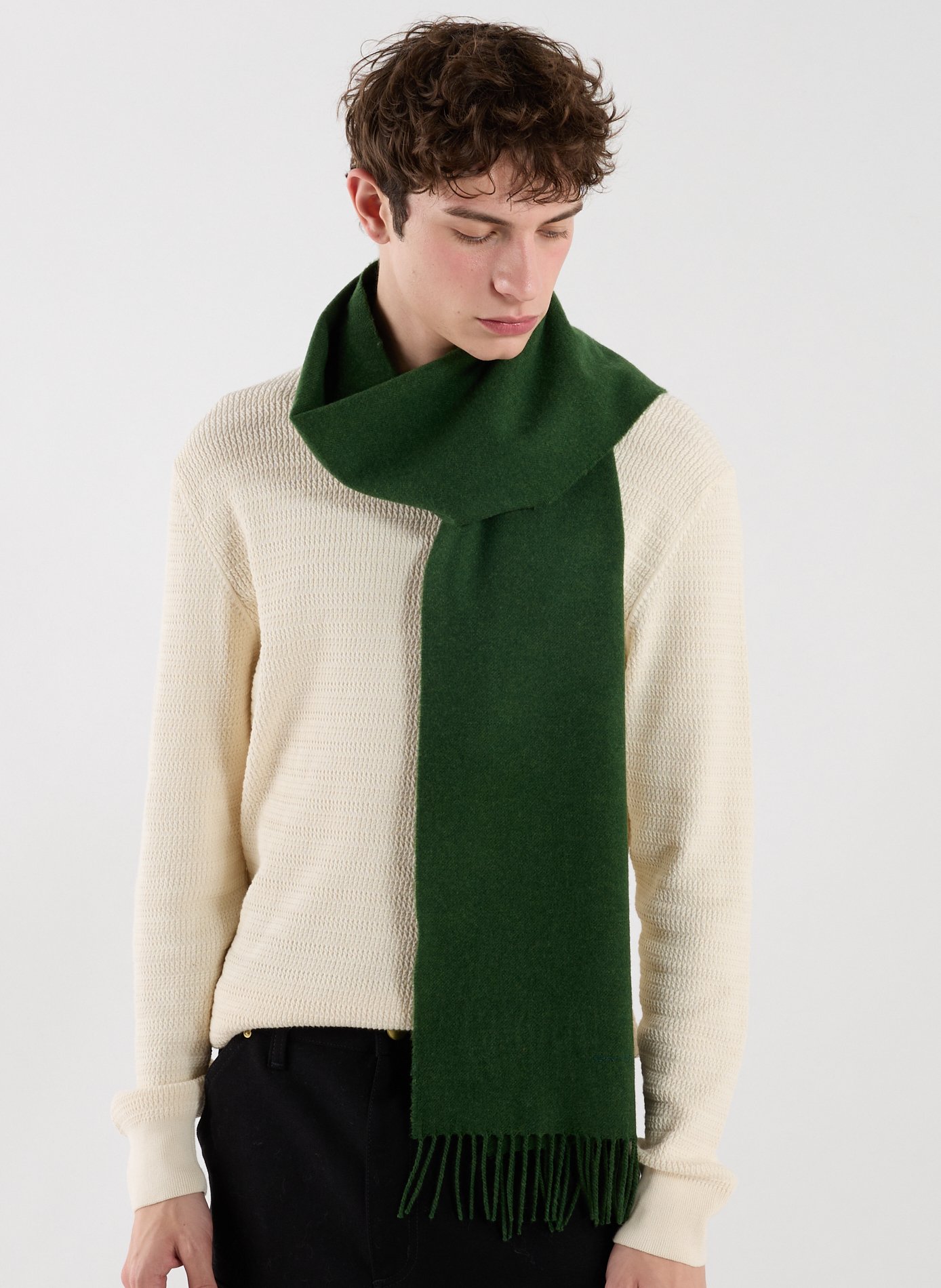 Fringed wool scarf GANT Green