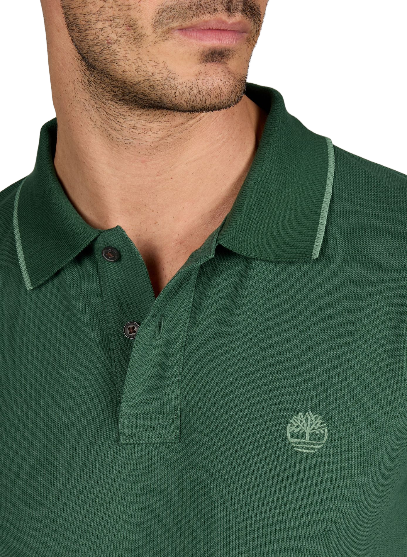 Short-sleeved plain cotton polo TIMBERLAND Green