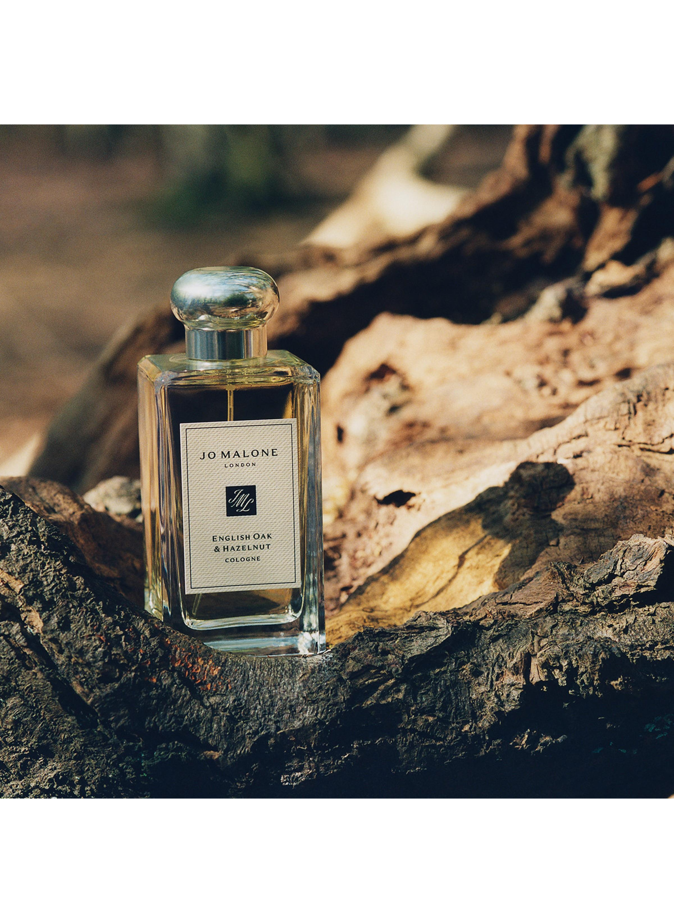 Chêne Anglais & Noisette - Cologne JO MALONE LONDON No color
