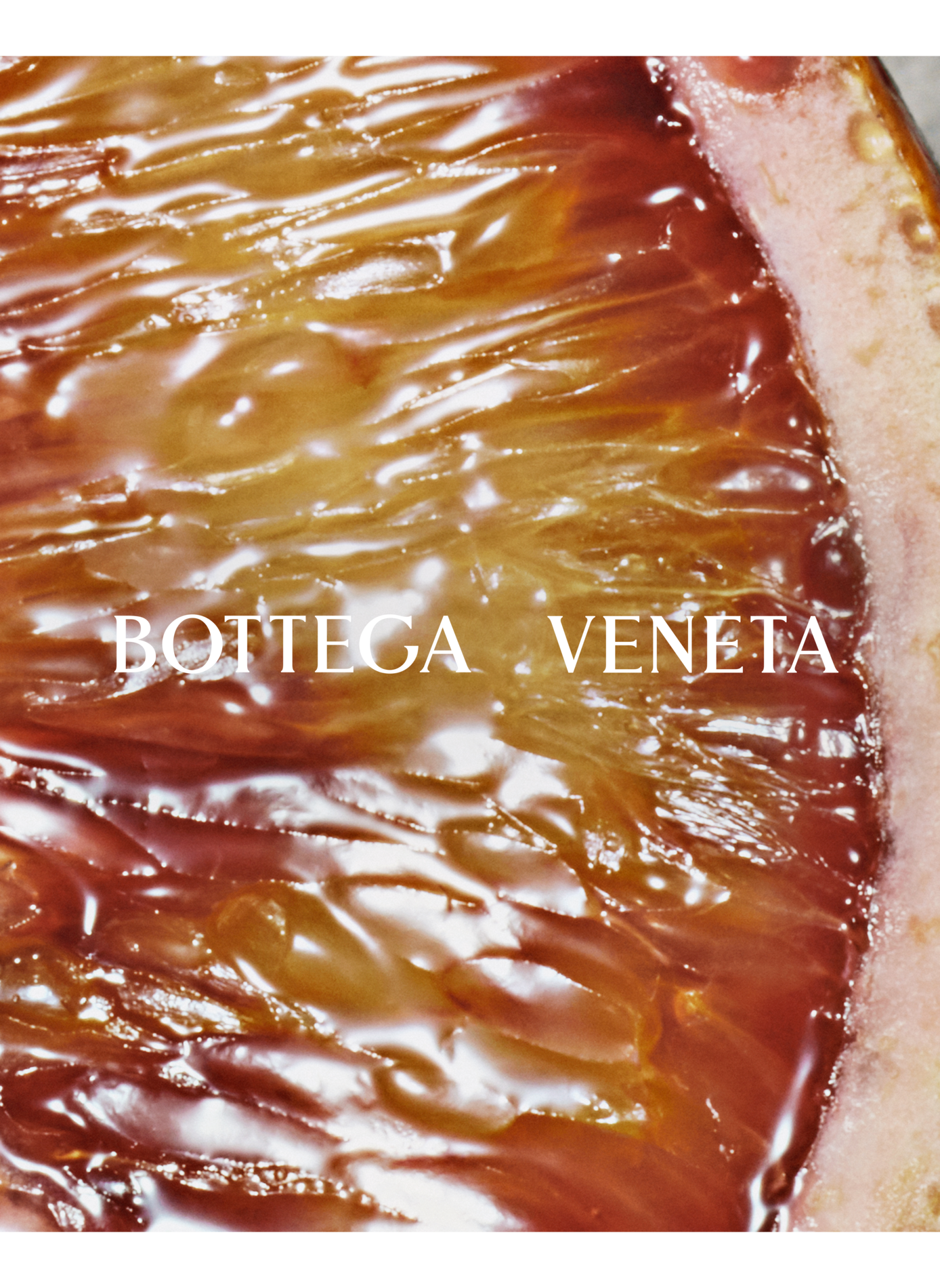 Montebello - Refill BOTTEGA VENETA No color
