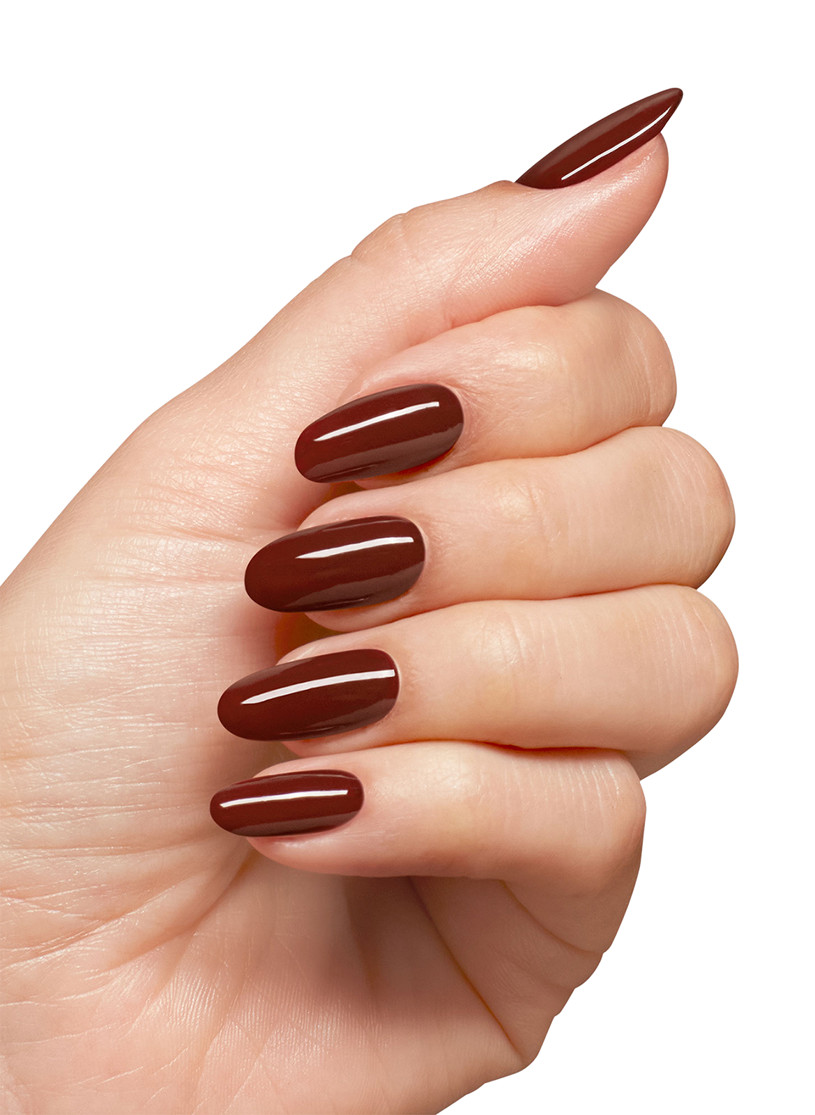Star-zipan on the Tree - Nail Lacquer OPI Marron foncé