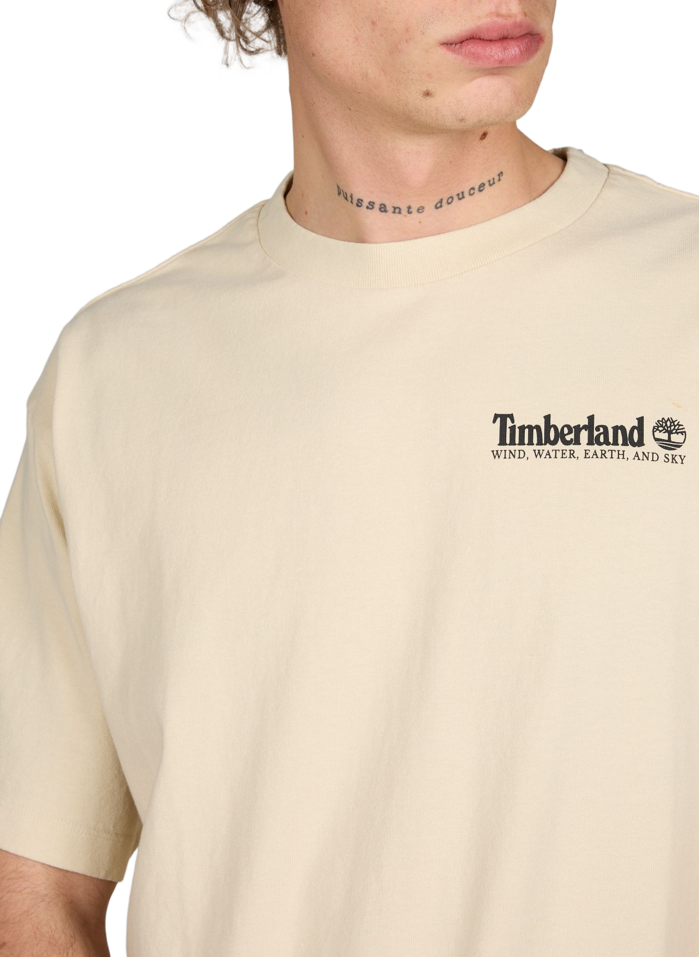 Printed cotton T-shirt TIMBERLAND Beige
