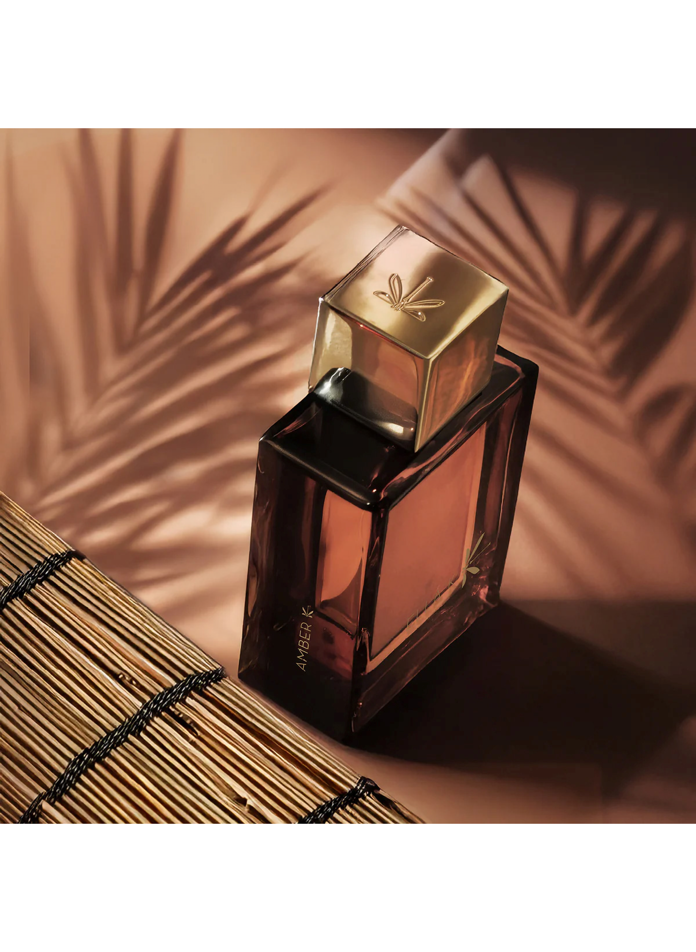 Amber K ELLA K No color