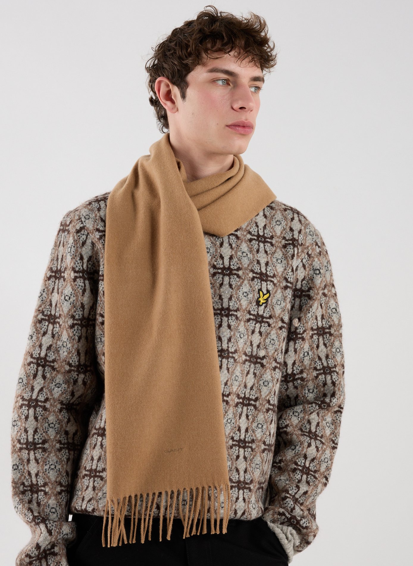 Fringed wool scarf GANT Beige