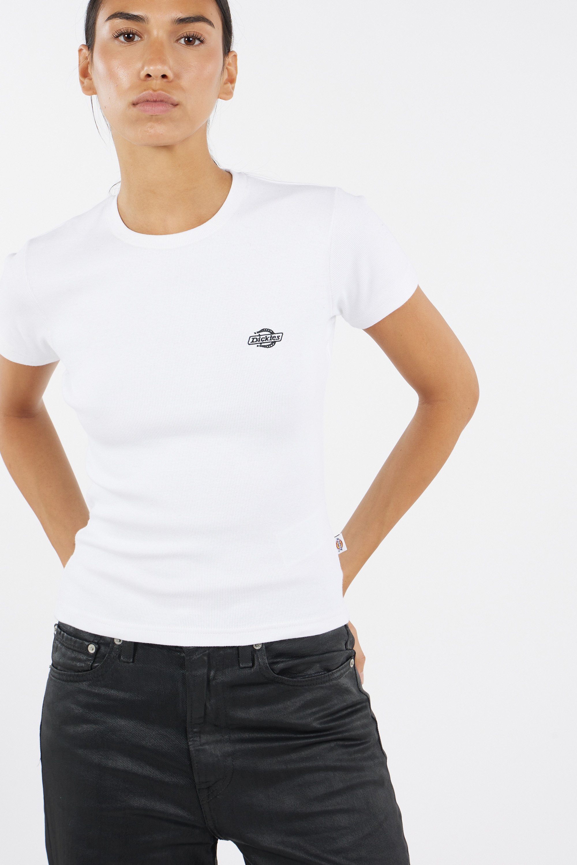 T-shirt gladeville ss tee w DICKIES Blanc