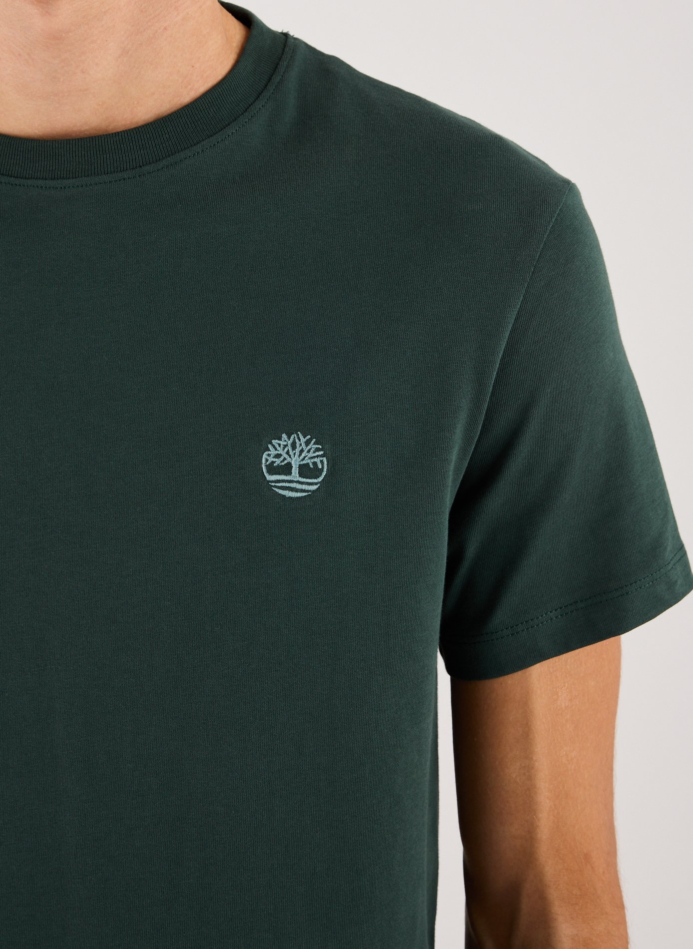 Classic Cotton T-Shirt TIMBERLAND Green
