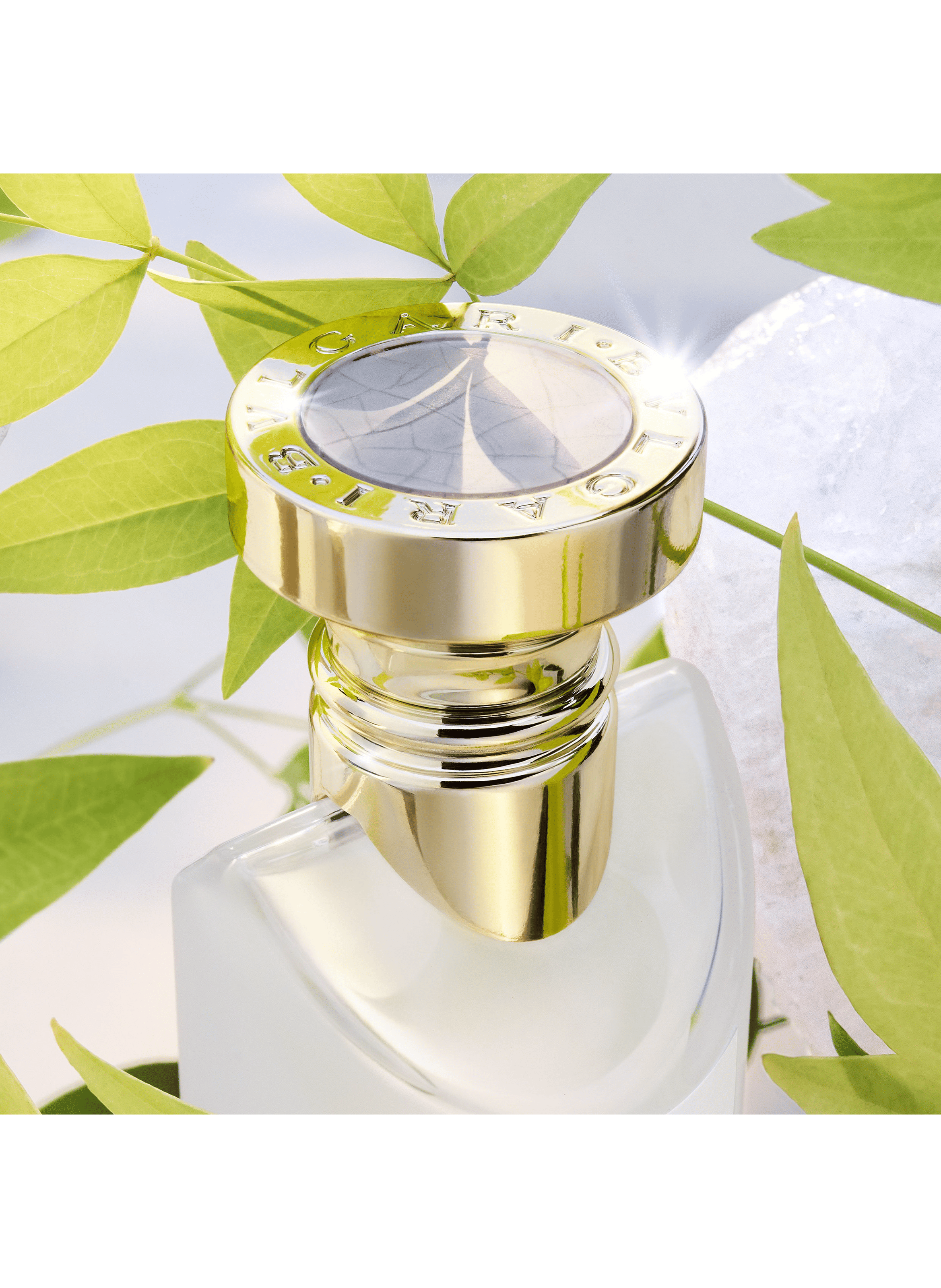 Eau Parfumée Thé Blanc - Eau de Toilette BVLGARI No color