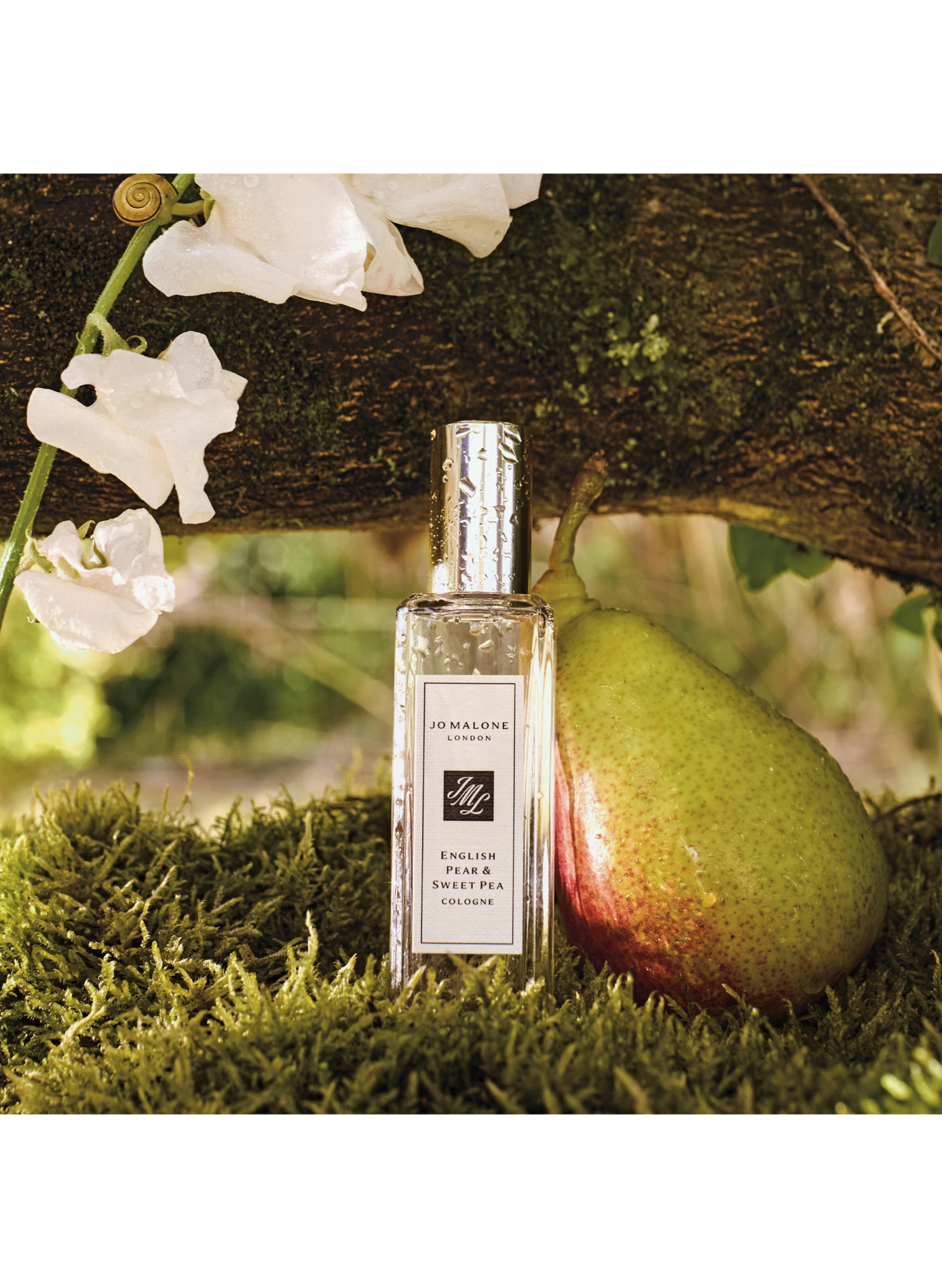 Poire Anglaise & Pois de Senteur - Cologne JO MALONE LONDON No color