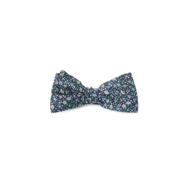 Noeud papillon en soie Noeud papillon en soie