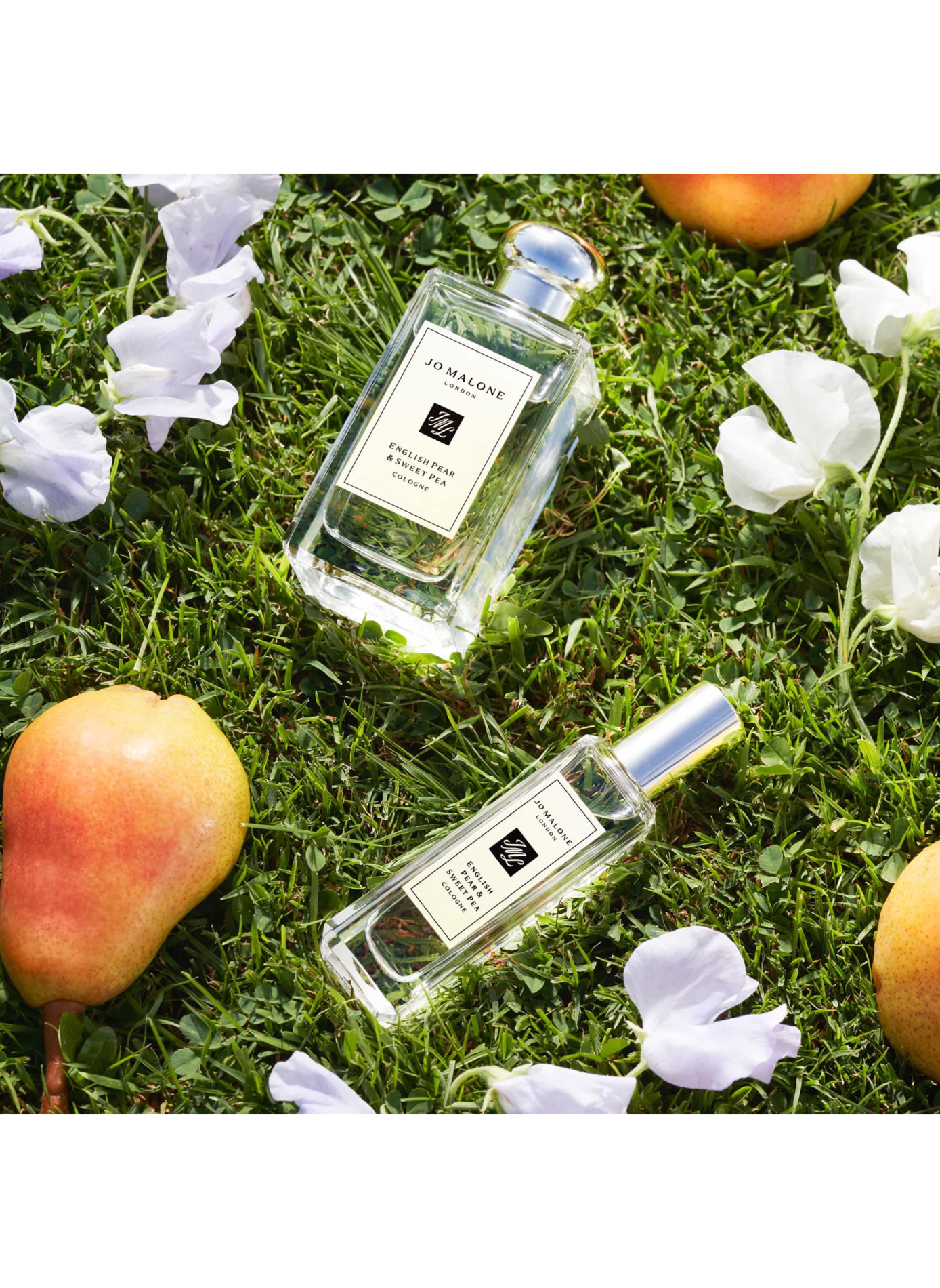 Poire Anglaise & Pois de Senteur - Cologne JO MALONE LONDON No color