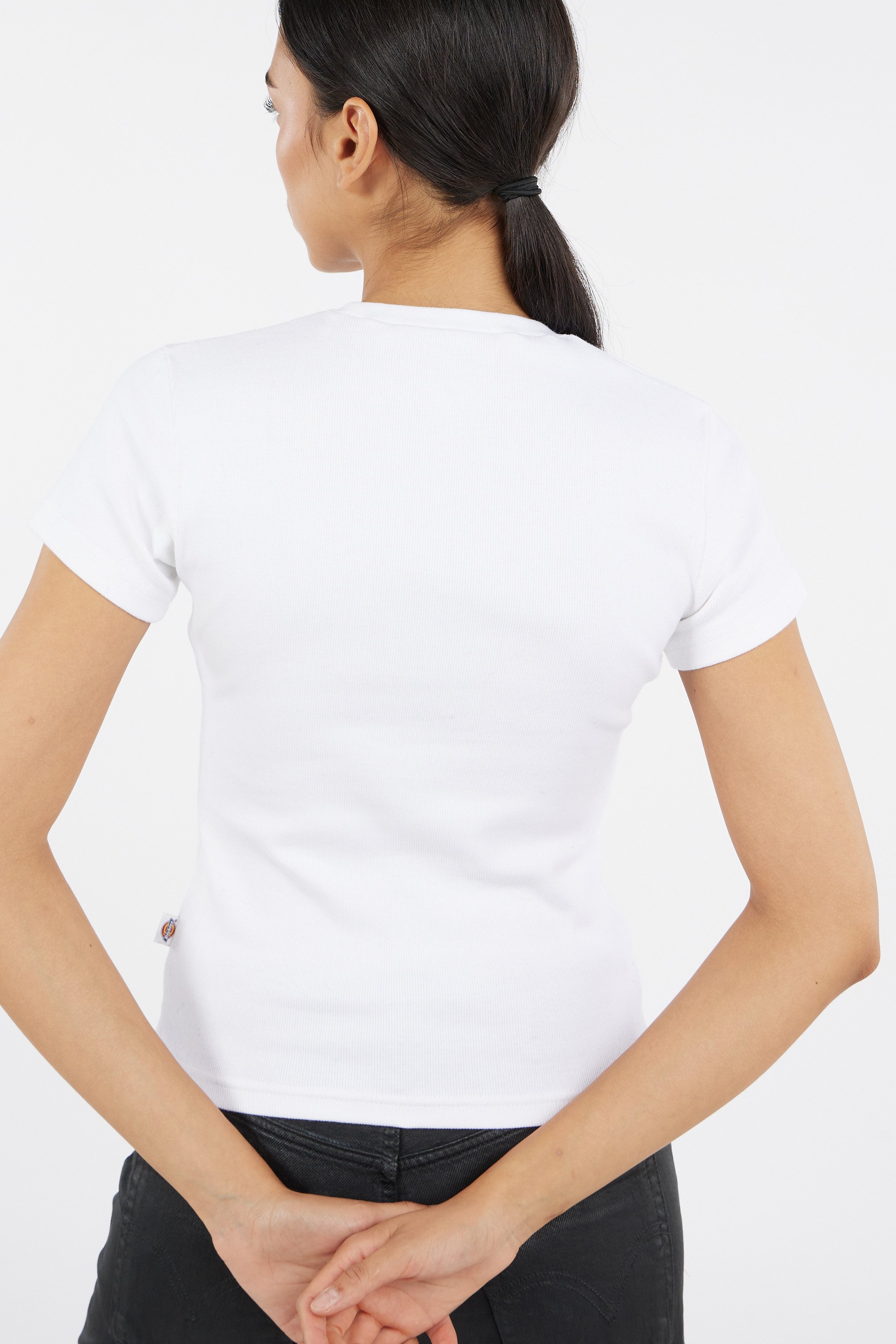 T-shirt gladeville ss tee w DICKIES Blanc