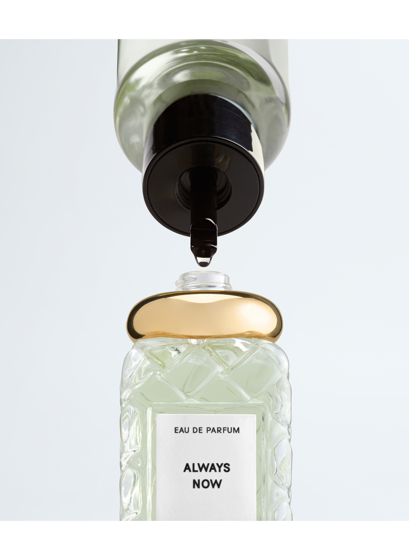Always Now - Recharge BOTTEGA VENETA No color