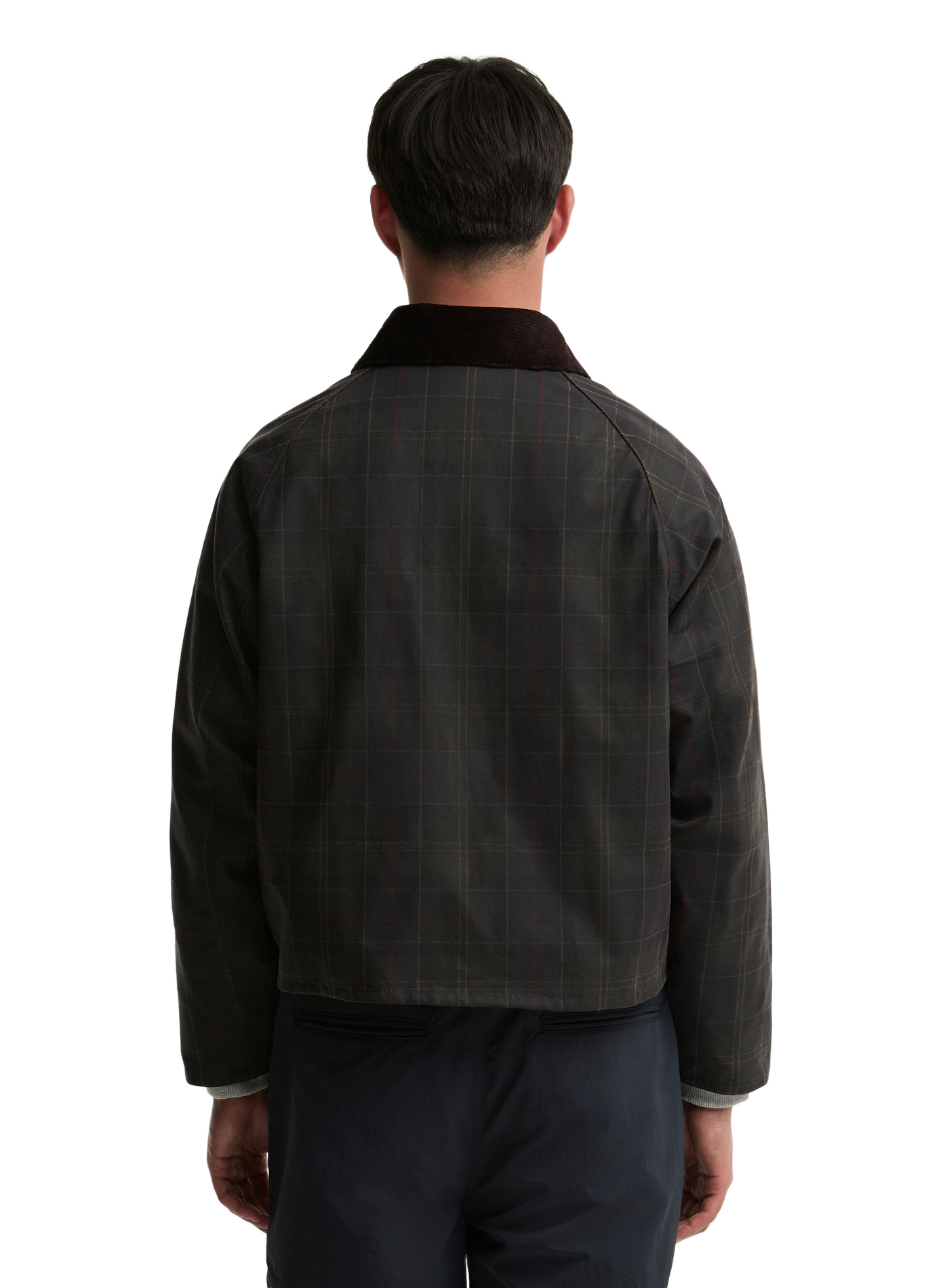 Straight classic collar checkered cotton jacket BARBOUR Green