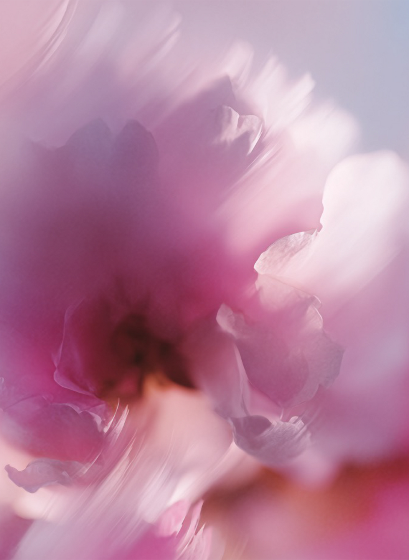 Perfume - Sakura Kiss L'ATELIER PARFUM No color