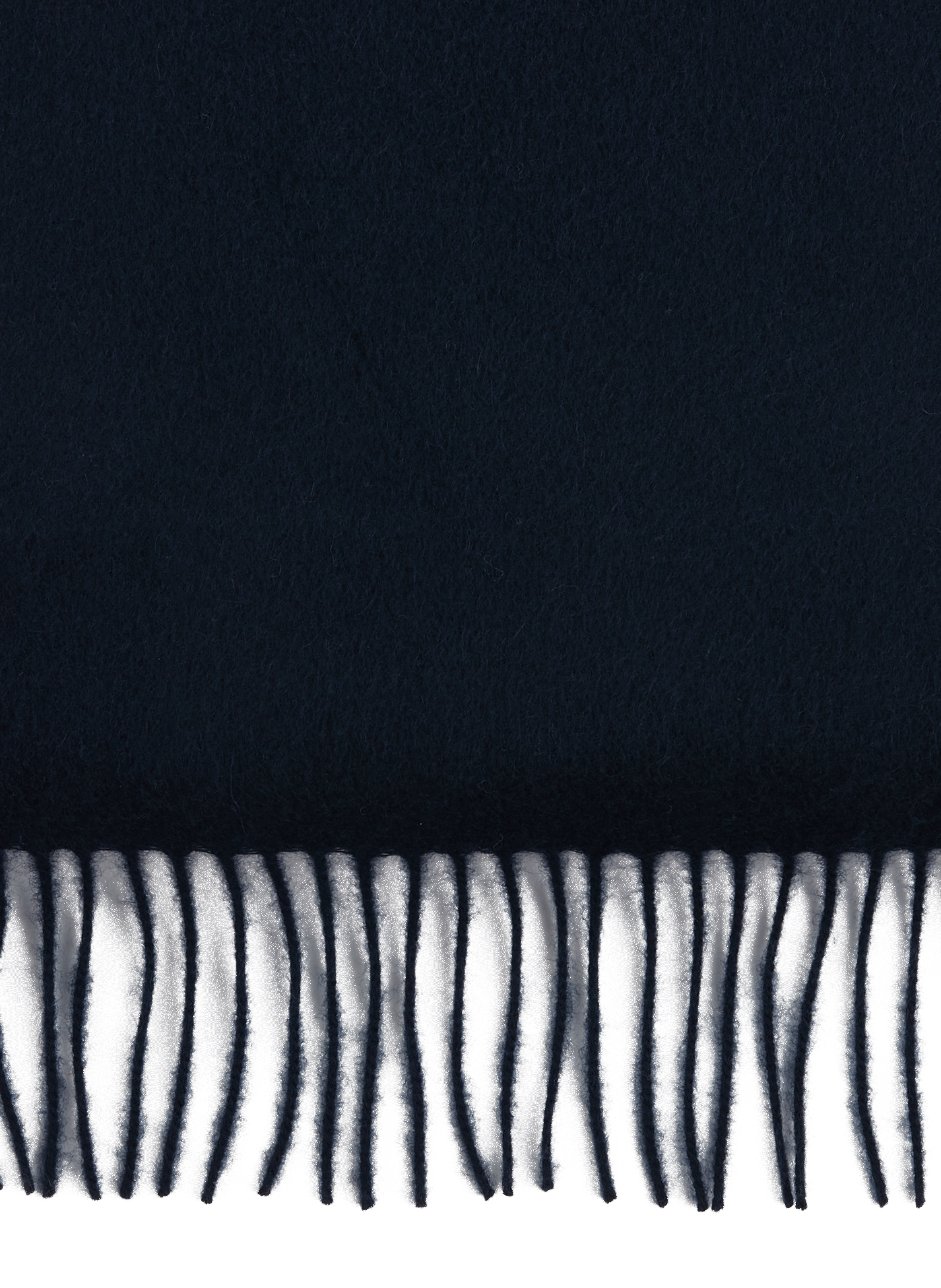 Fringed cashmere scarf SAISON 1865 Blue