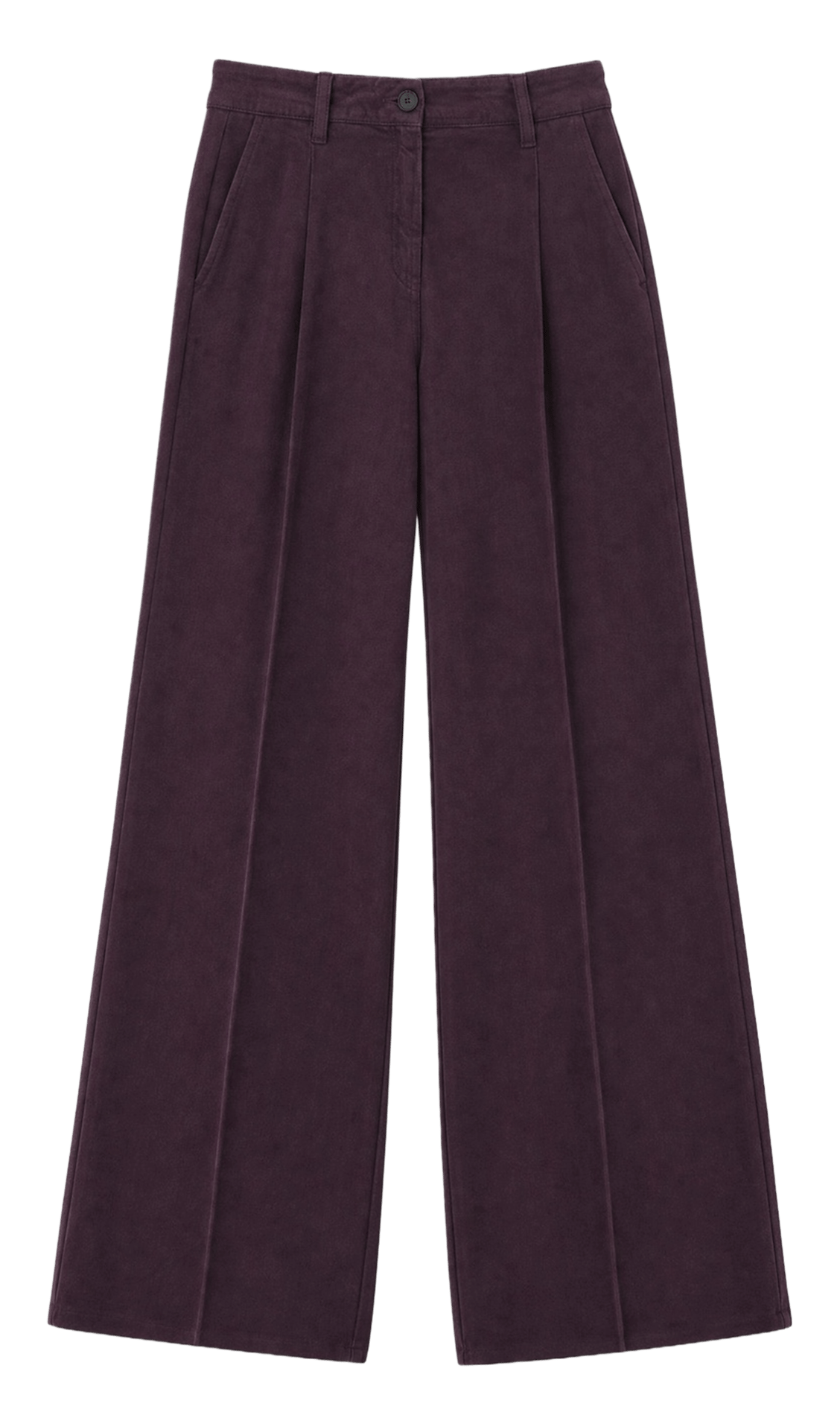 Pantalon large à plis comedown IRO Violet