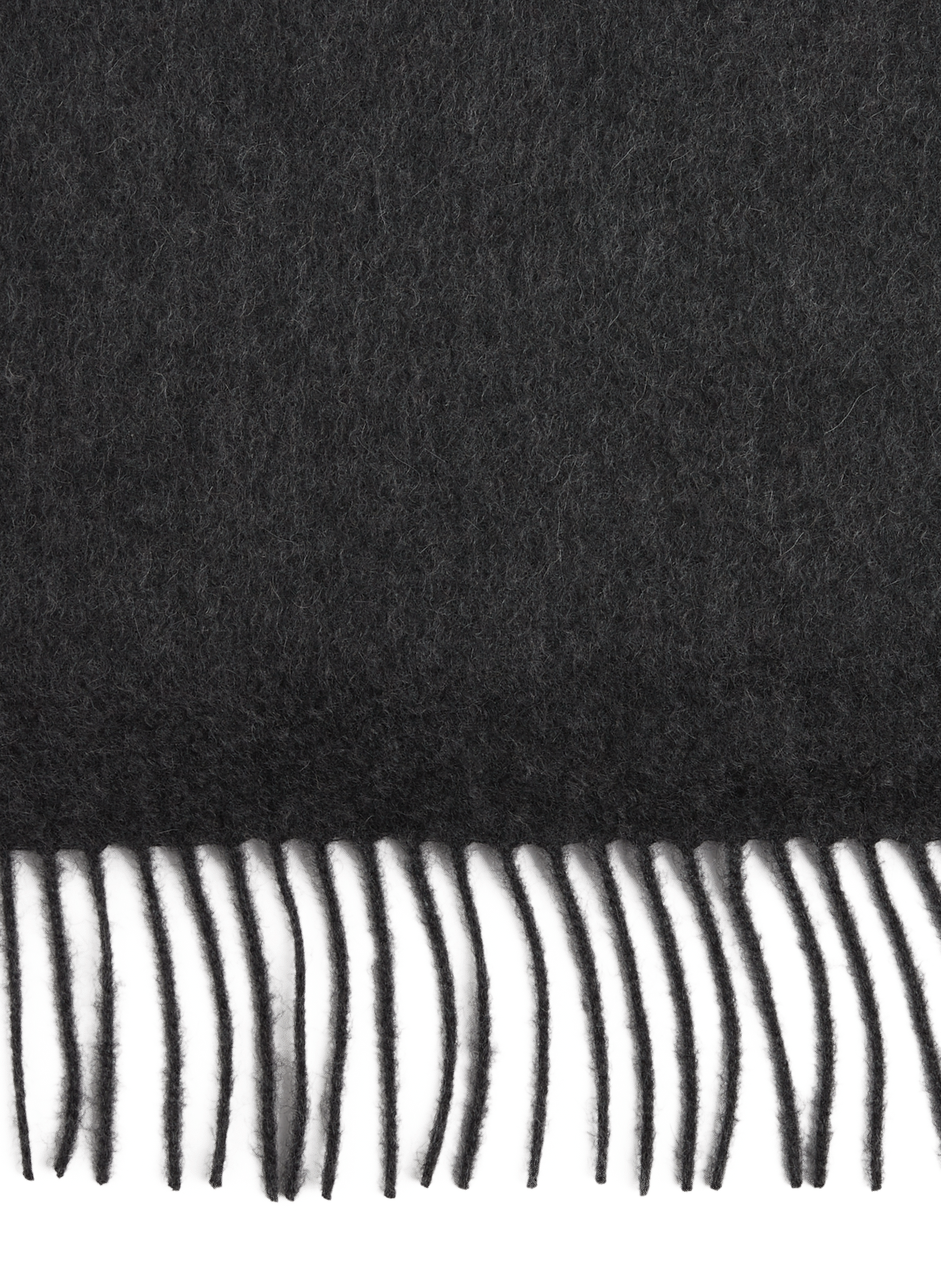 Fringed cashmere scarf SAISON 1865 Multicolour