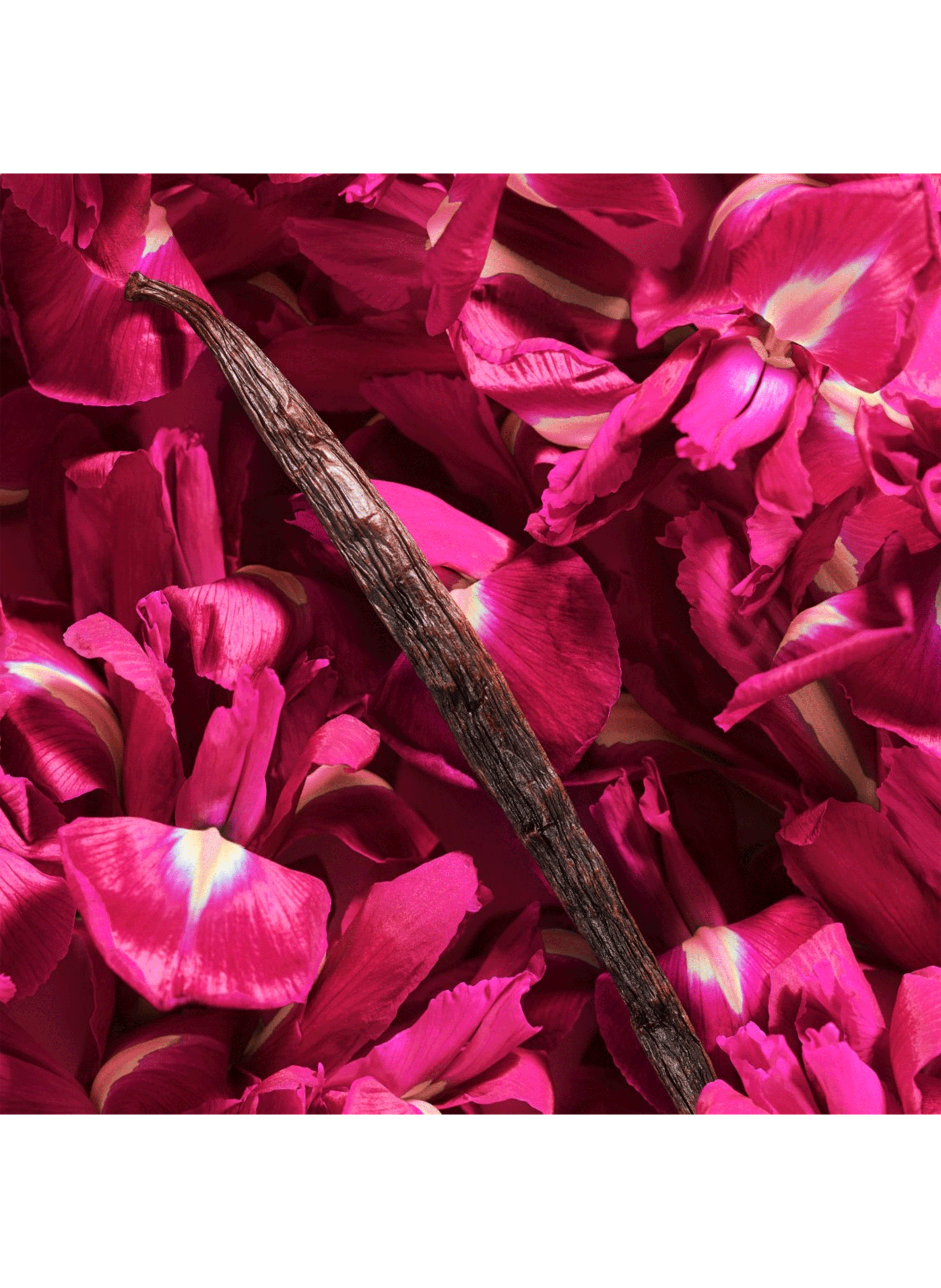 La Vie Est Belle Intensément eau de parfum LANCÔME No color