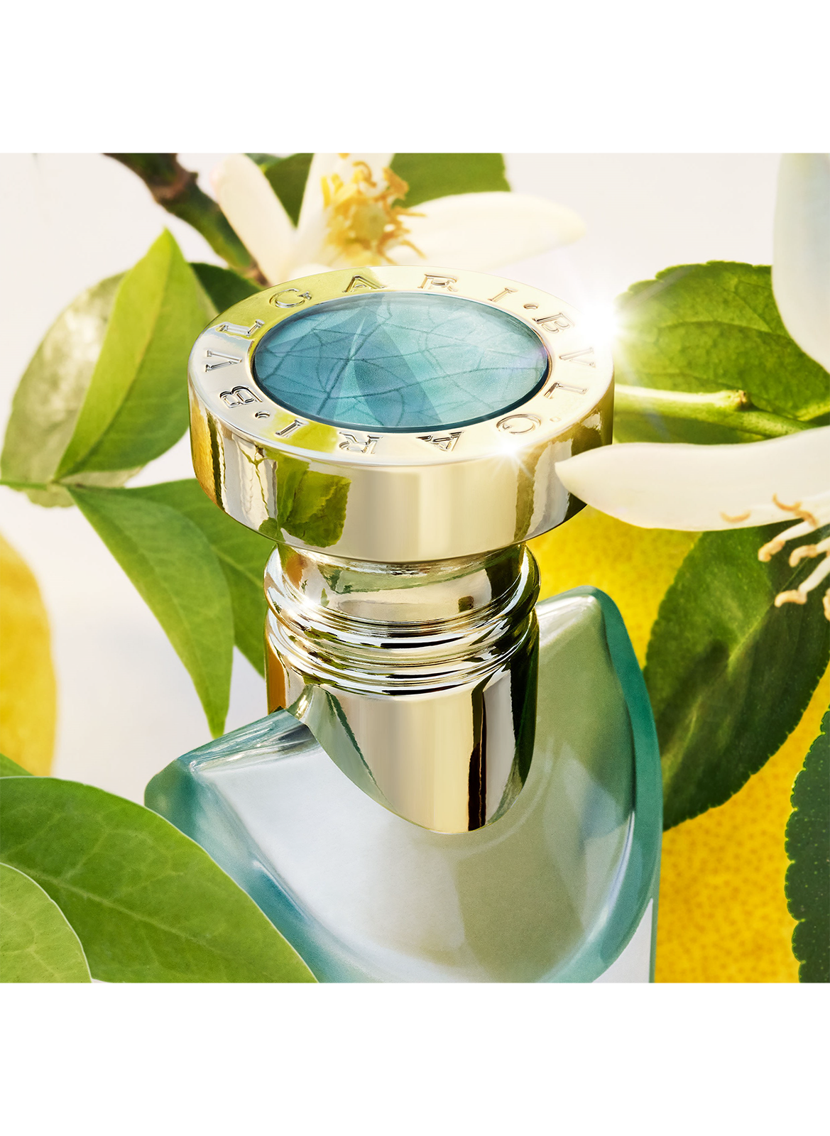 Eau Parfumée Thé Vert - Eau de Toilette BVLGARI No color