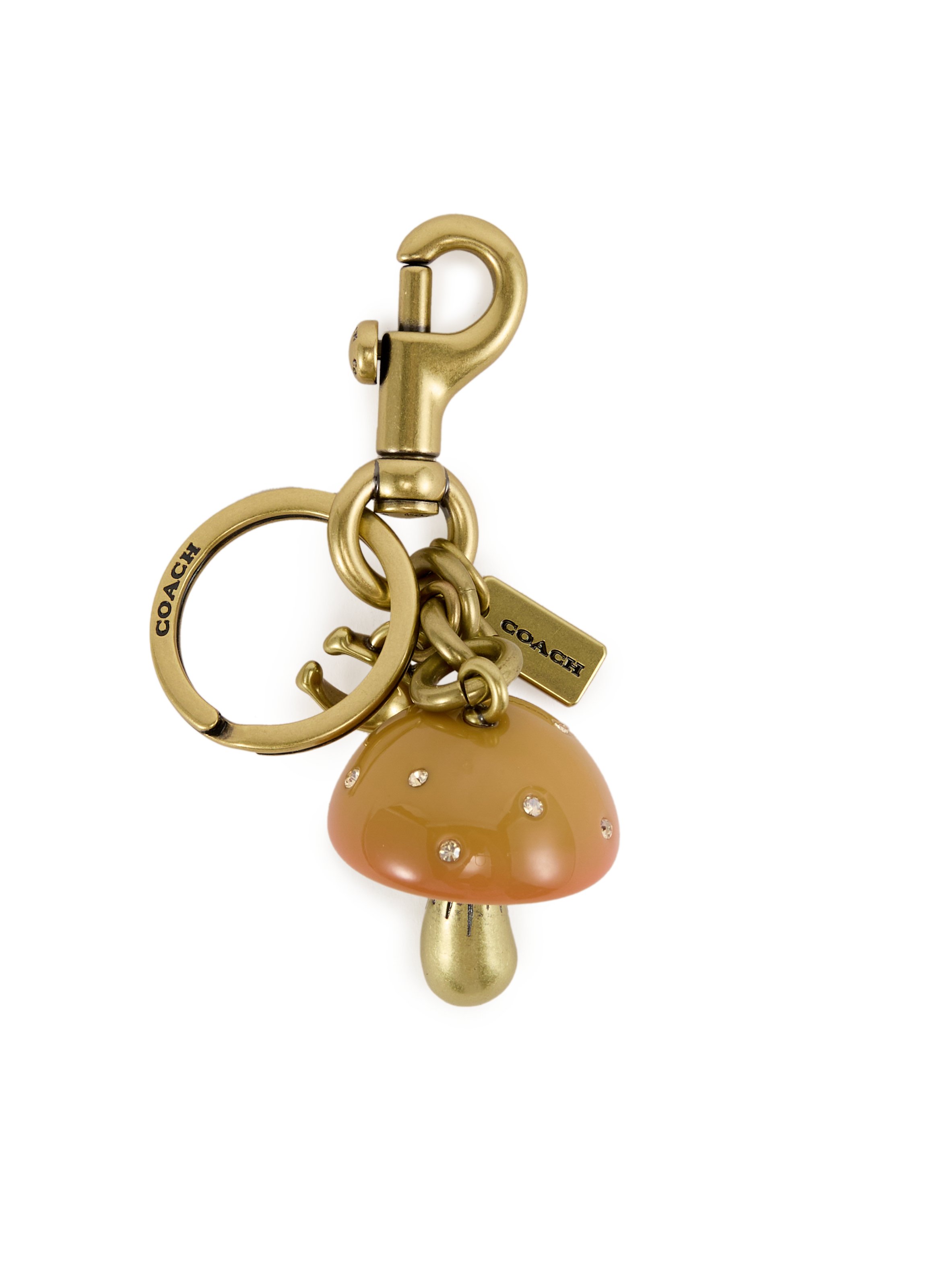 COACH Mushroom-shaped bag charm Multicolour