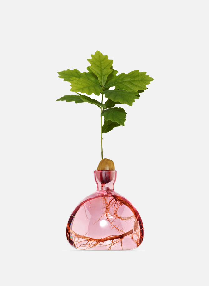 Pink acorn vase ILEX STUDIO