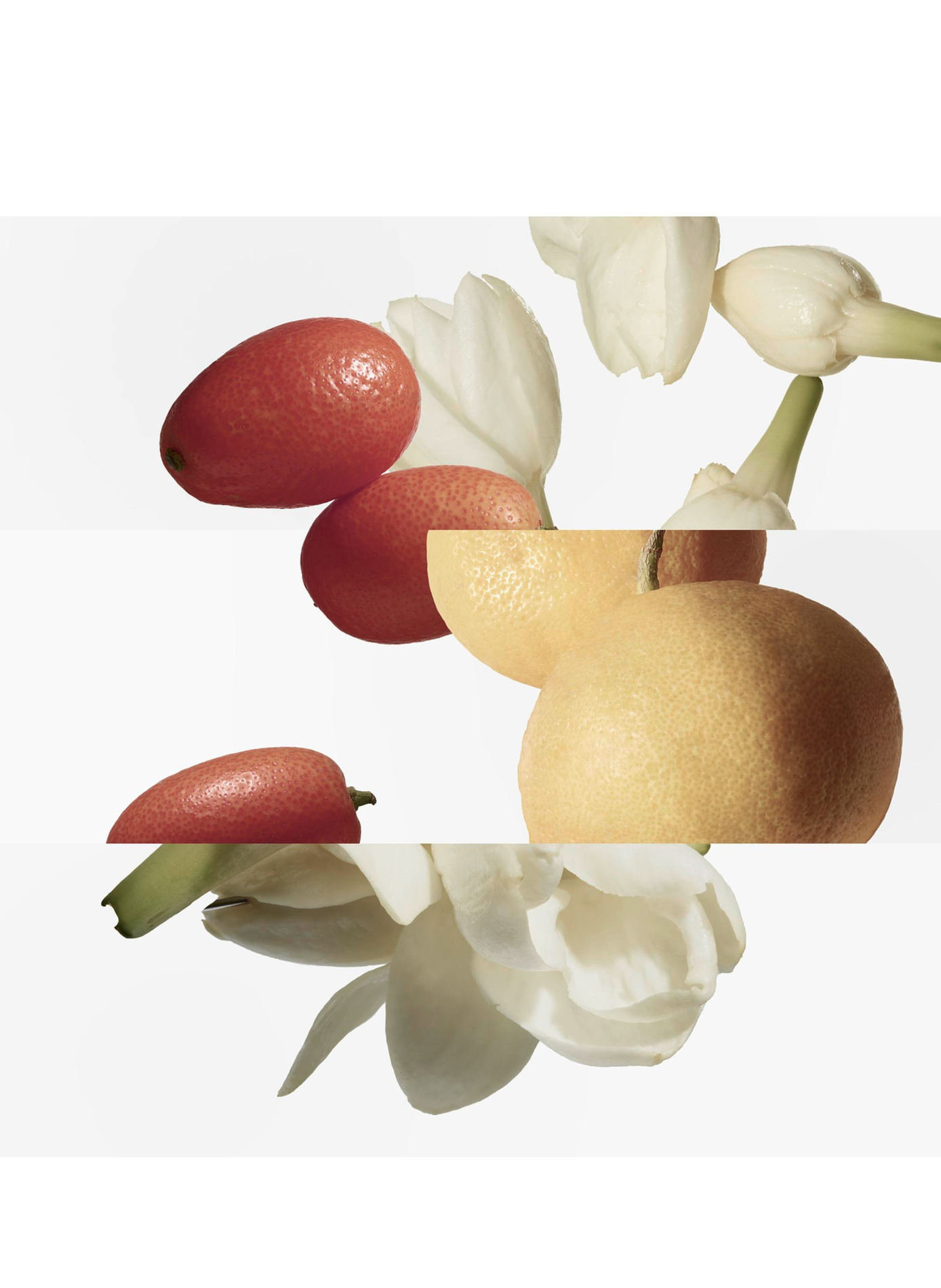 Der Garten des Monsieur Li - Nachfüllung Eau de Toilette HERMÈS No color
