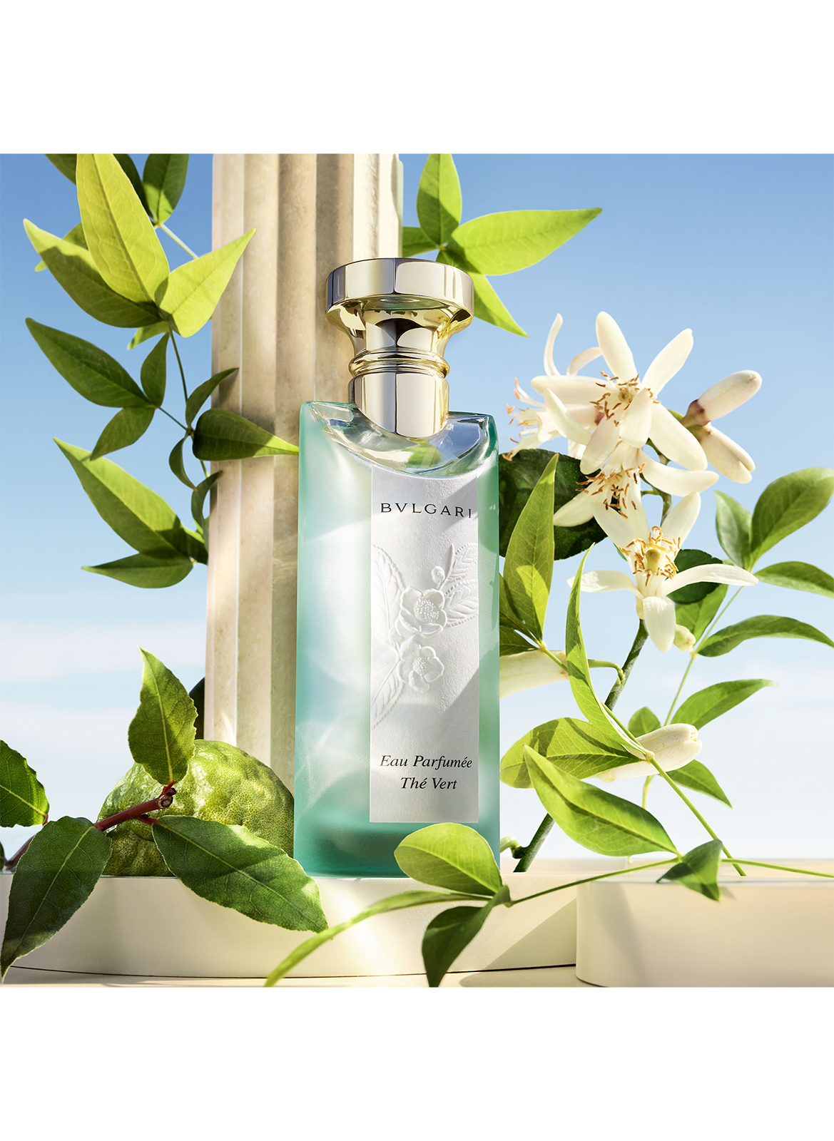 Eau Parfumée Thé Vert - Eau de Toilette BVLGARI No color
