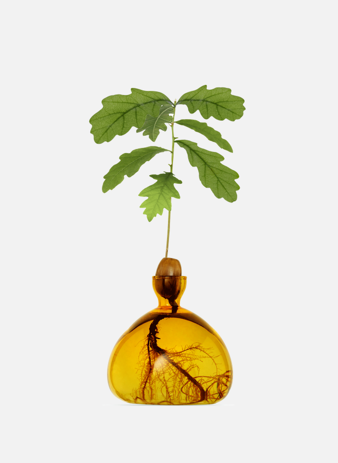Yellow acorn vase ILEX STUDIO