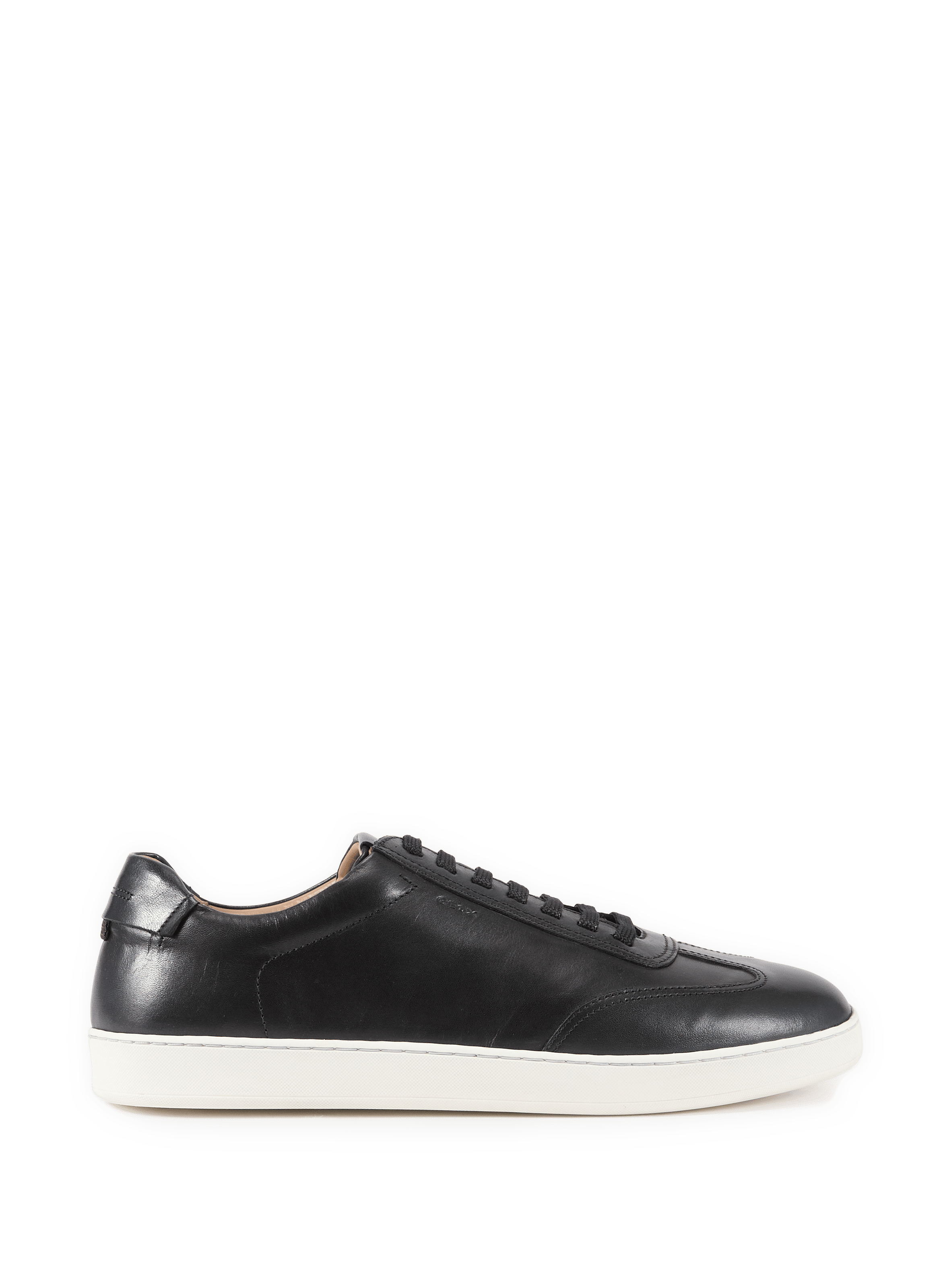 Low-top Regio leather sneakers GEOX Blue