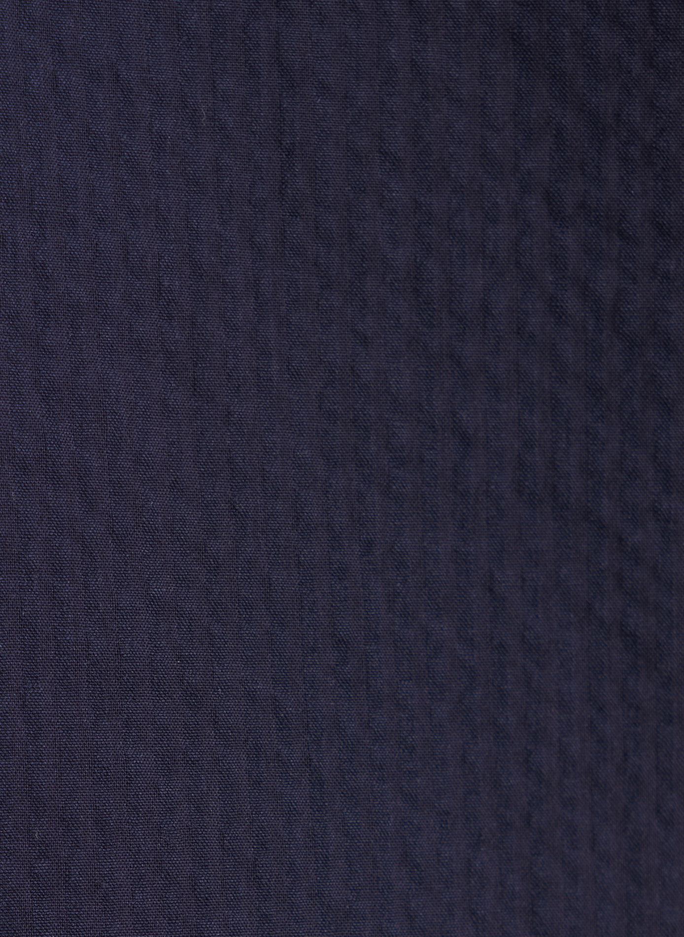 Chemise droite manches courtes en coton SEIDENSTICKER Bleu