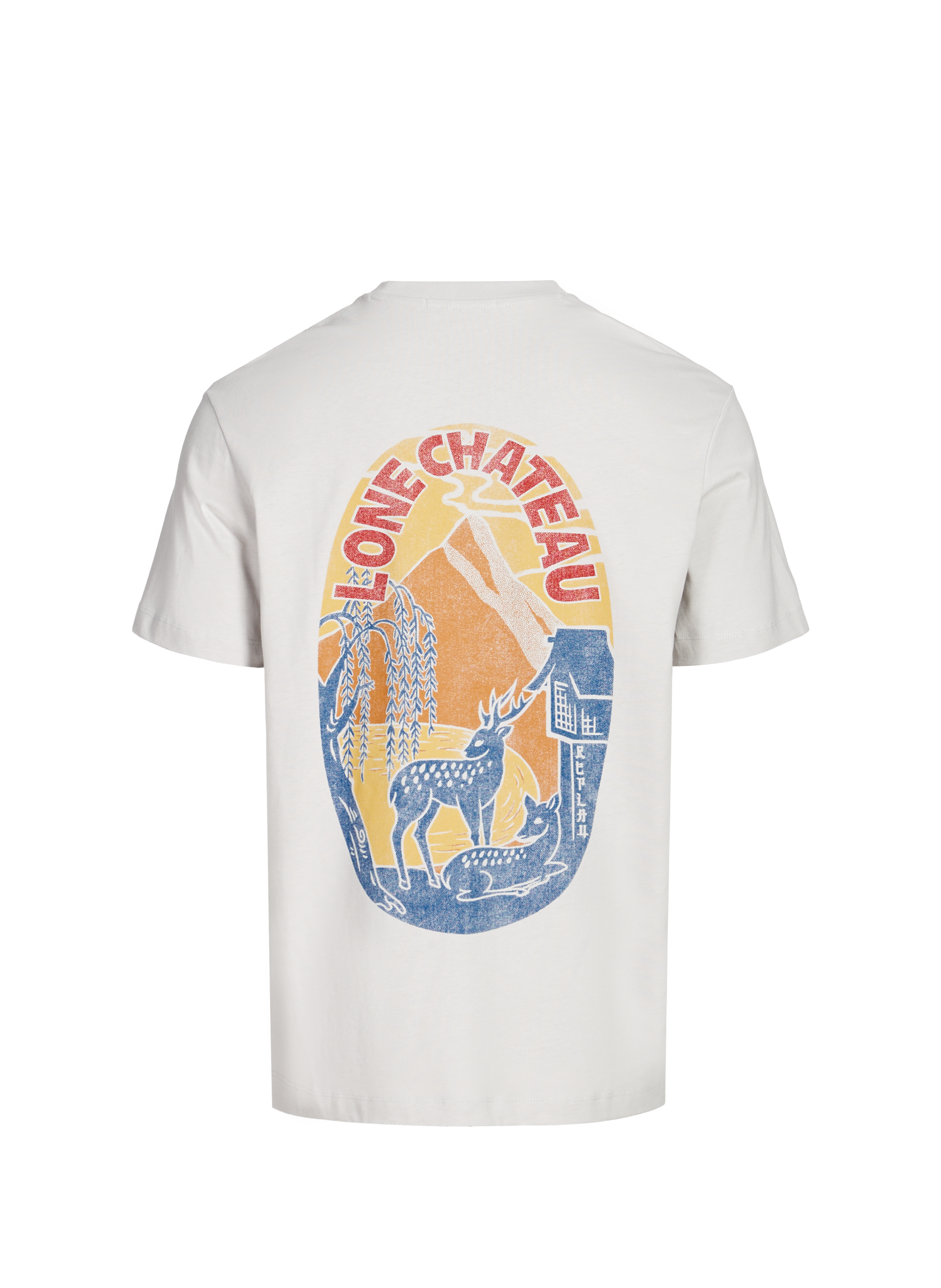 T-shirt à imprimé en coton REPLAY Blanc