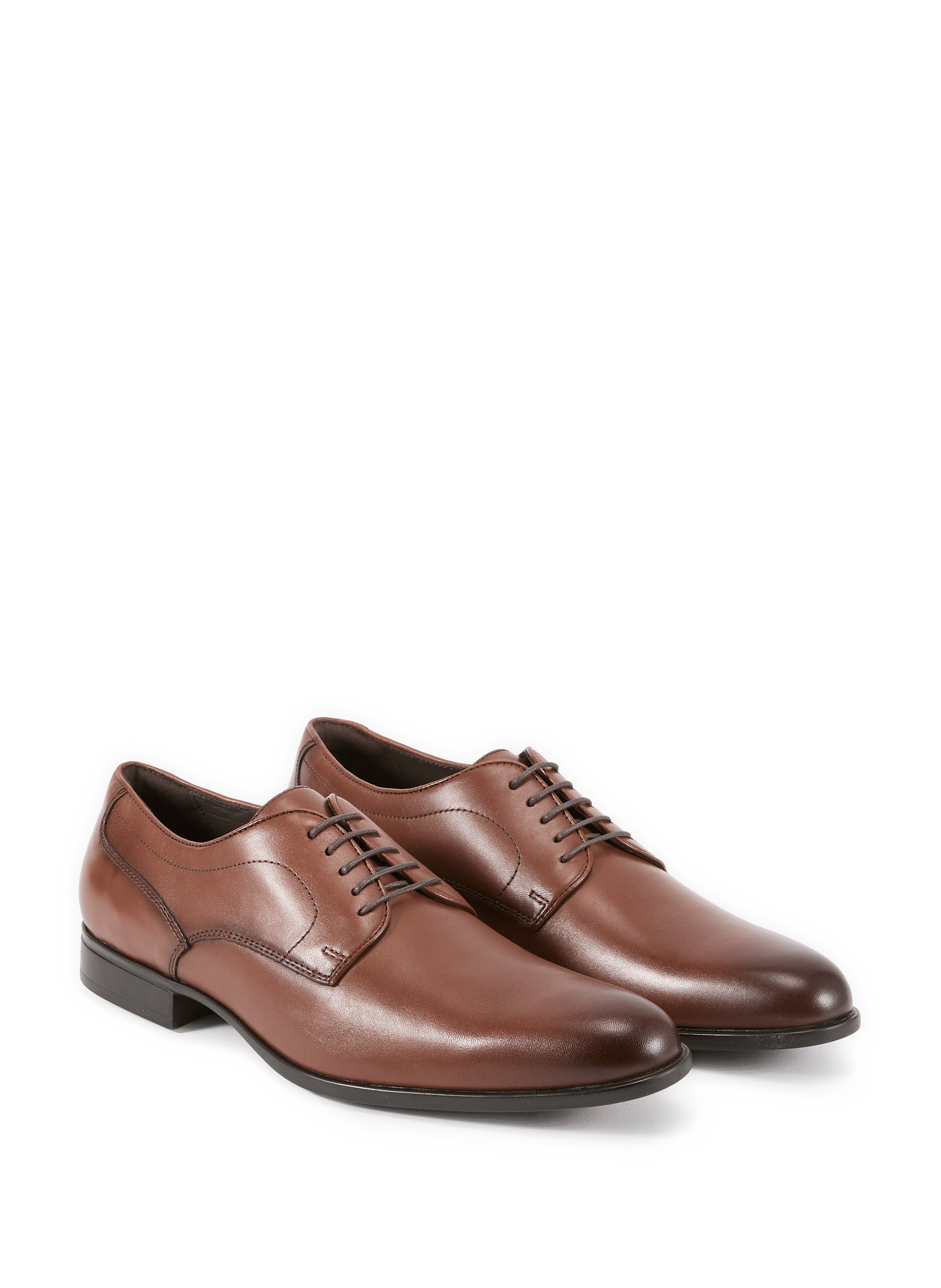 Lacopo leather shoes GEOX Brown