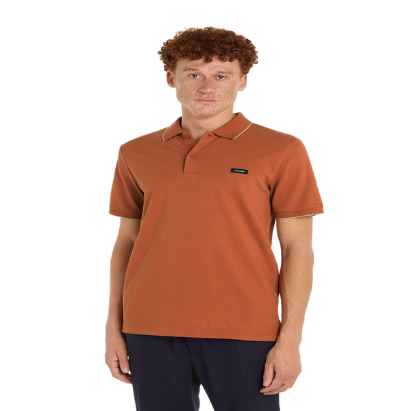 Calvin Klein Cotton Polo Shirt In Brown