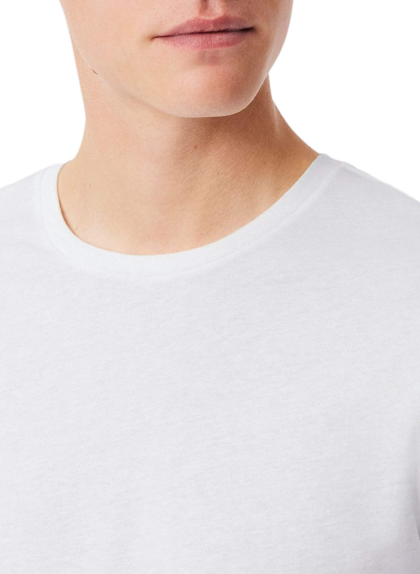 Lot de 3 t-shirts en coton LACOSTE Multicolore