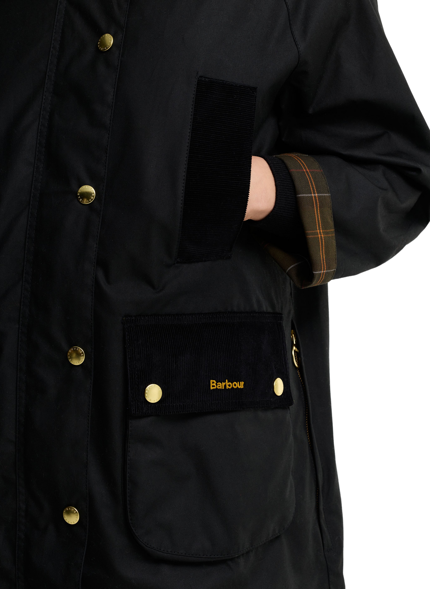 Straight jacket with high collar in cotton BARBOUR Black