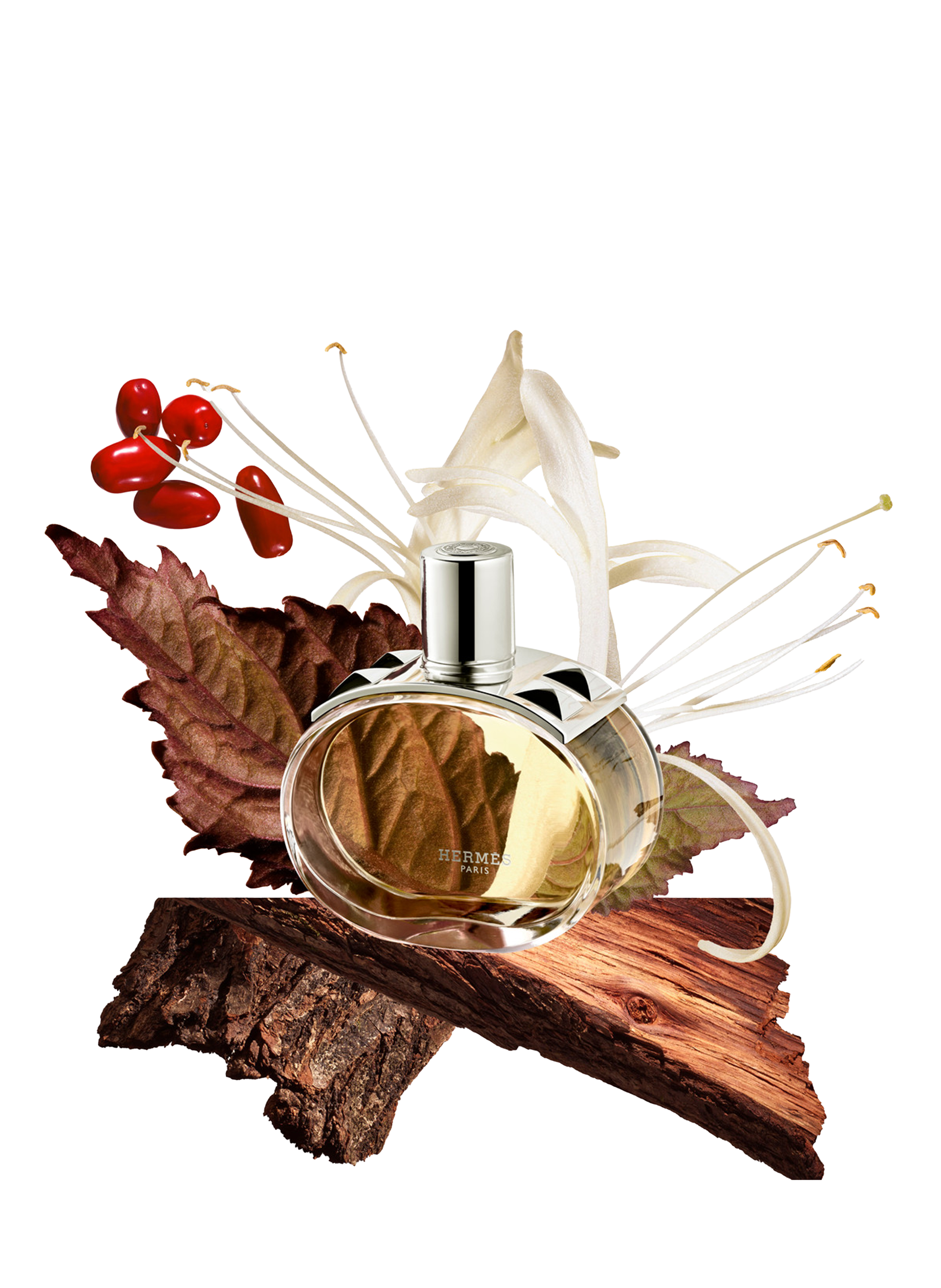 Barénia - Eau de parfum HERMÈS No color