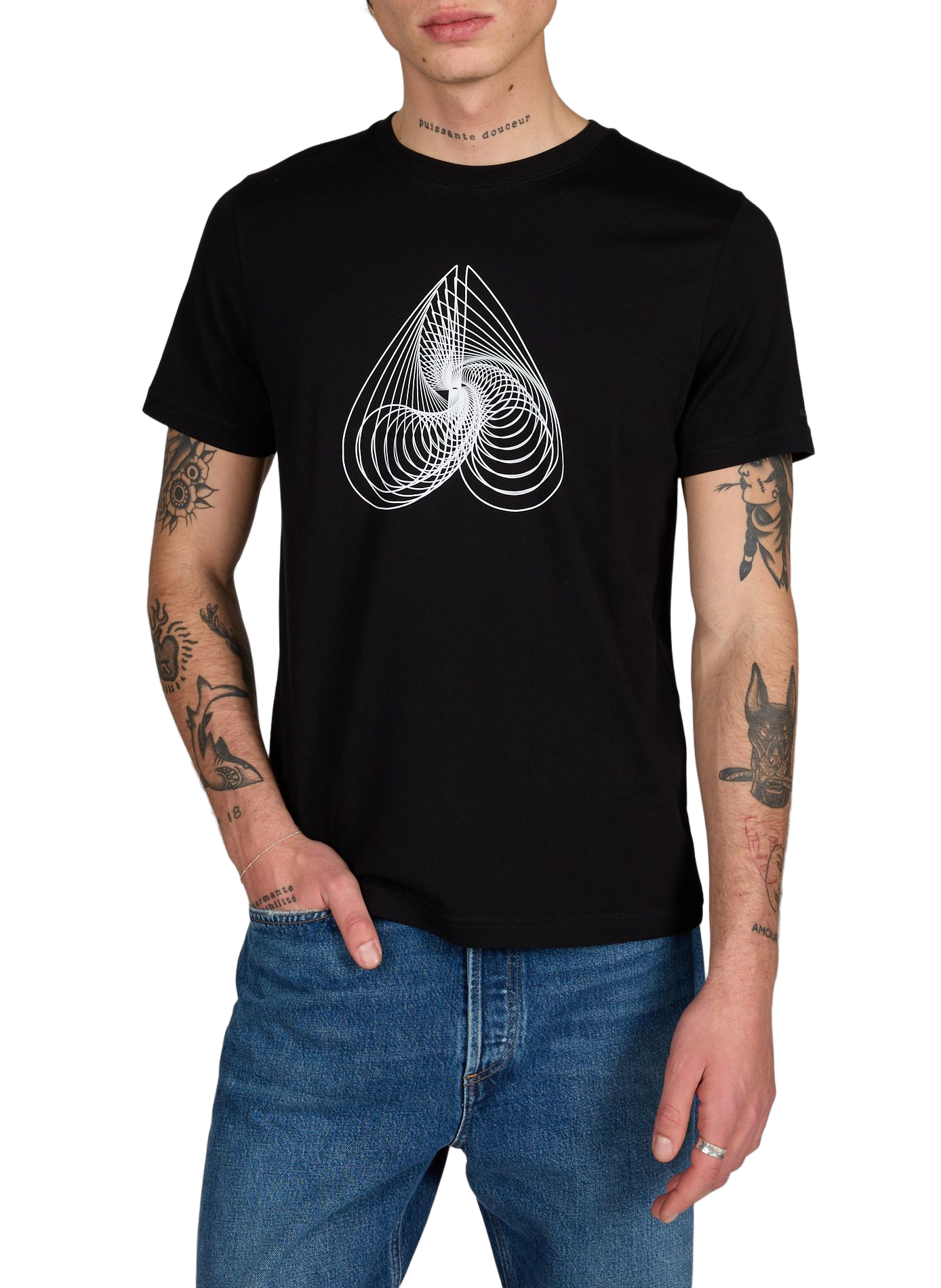 T-shirt with graphic print in cotton MOOSE KNUCKLES Black