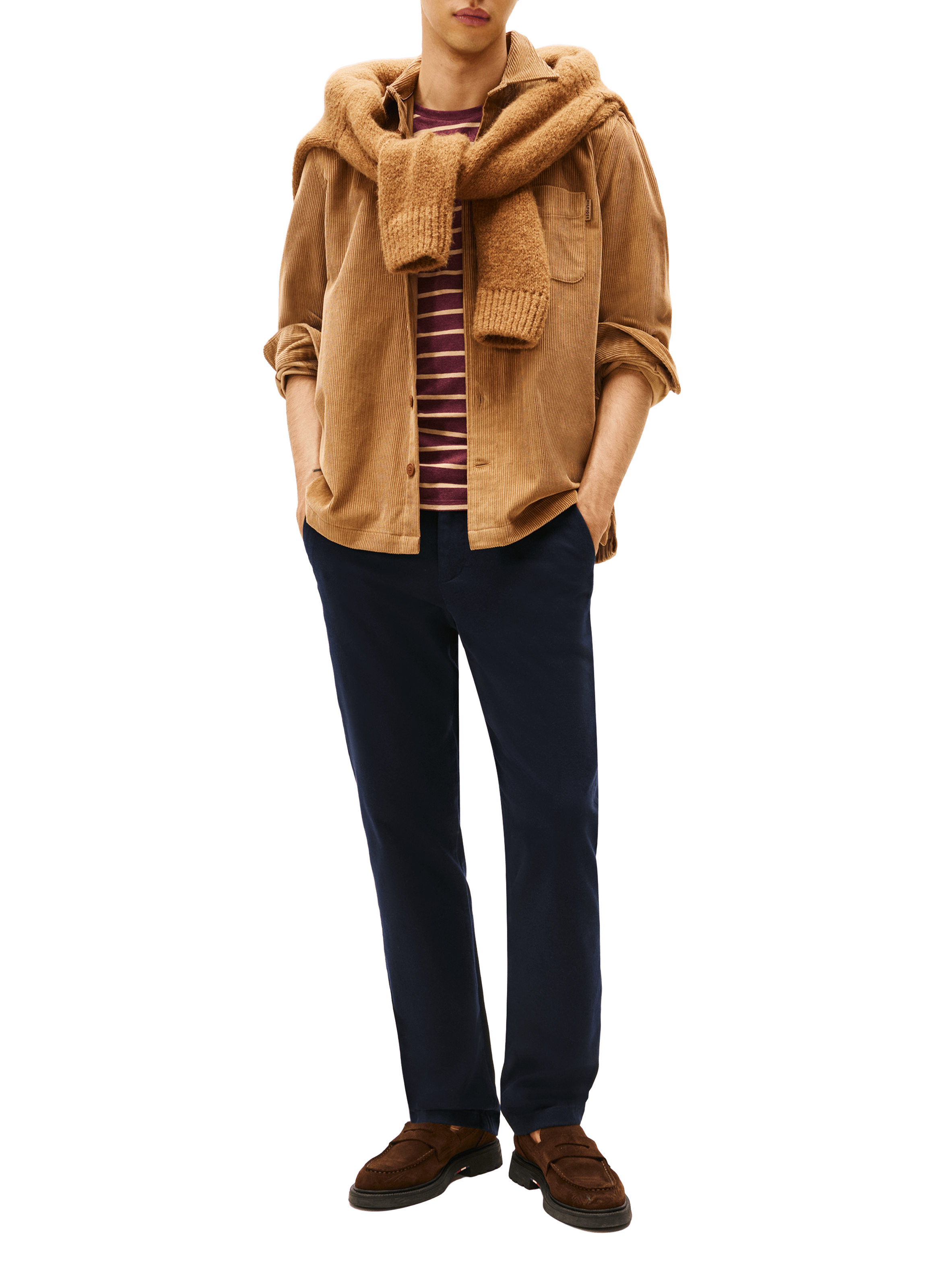 Chemise col classique manches contrastantes en coton TOMMY HILFIGER Brown