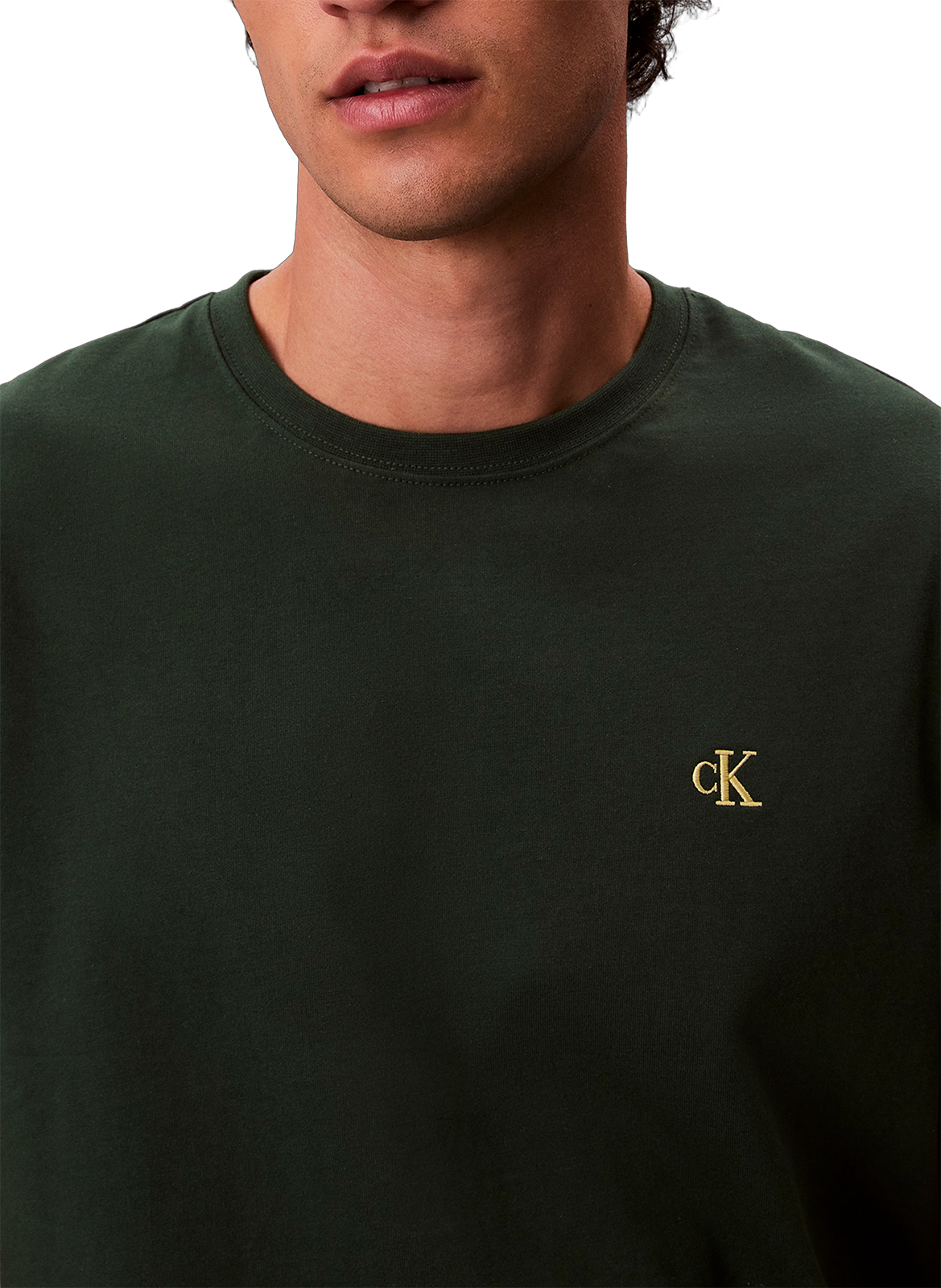 Classic Cotton T-Shirt CALVIN KLEIN Green