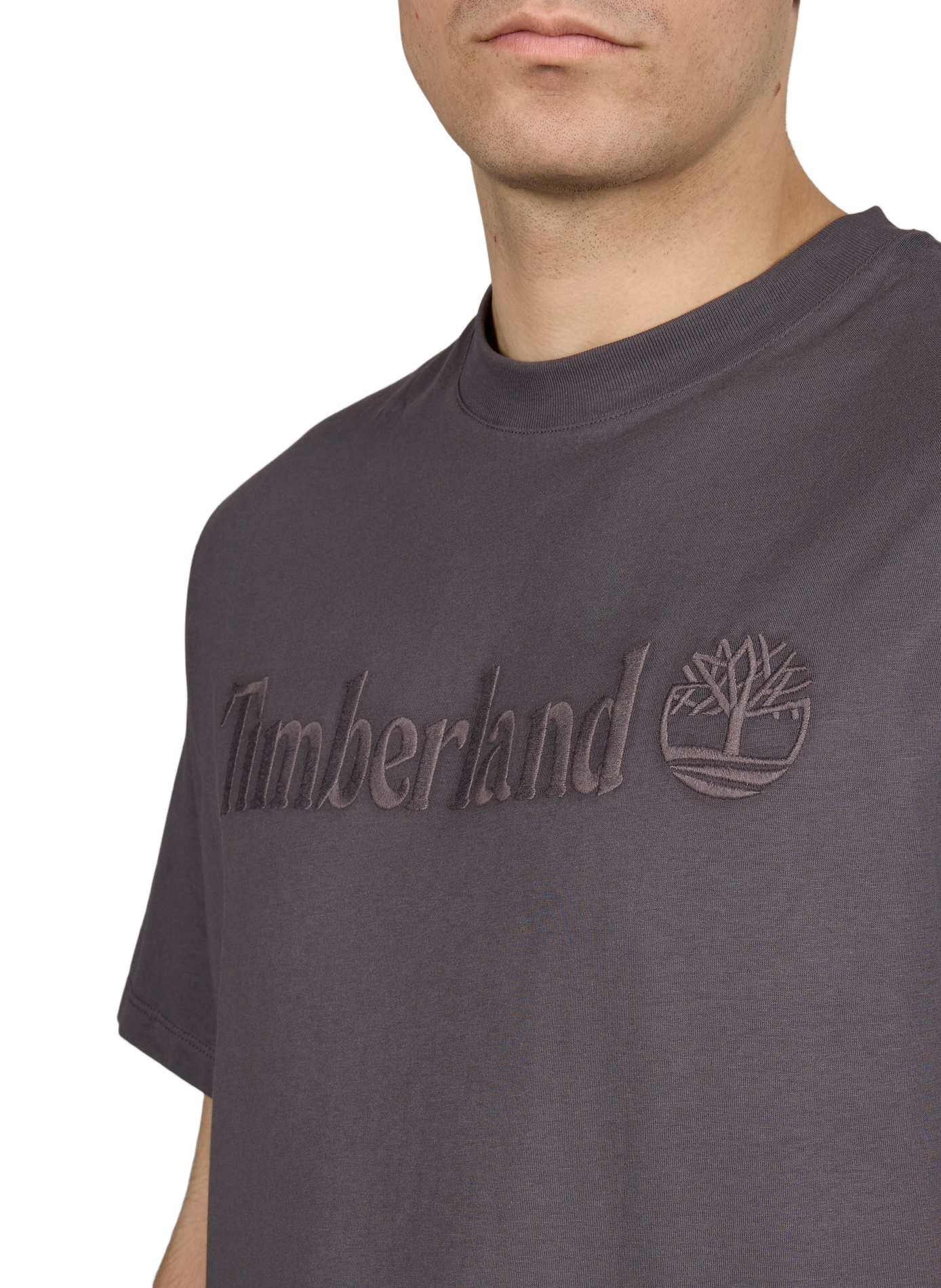 Cotton Logo T-shirt TIMBERLAND Black