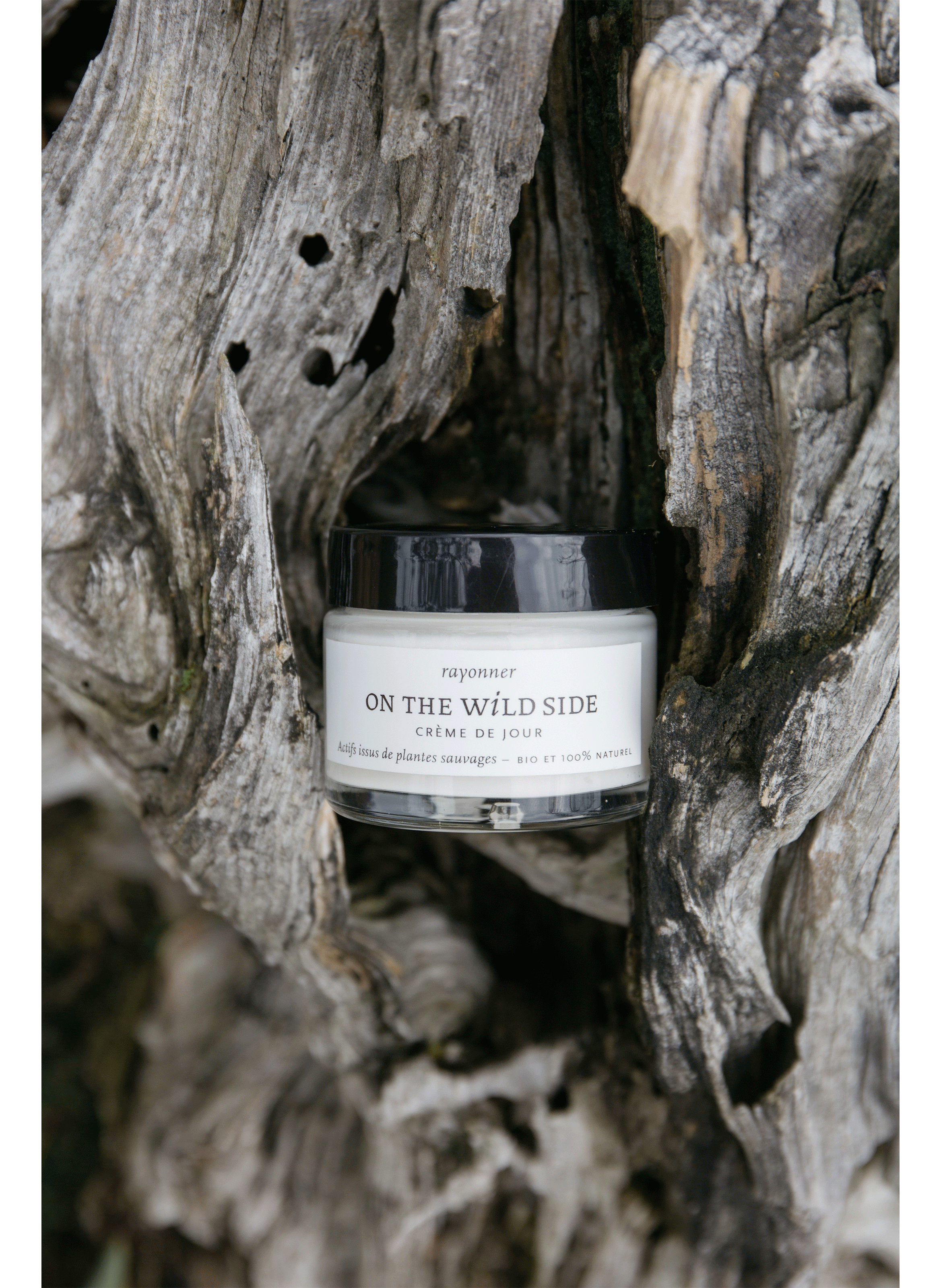 Crème de jour ON THE WILD SIDE No color