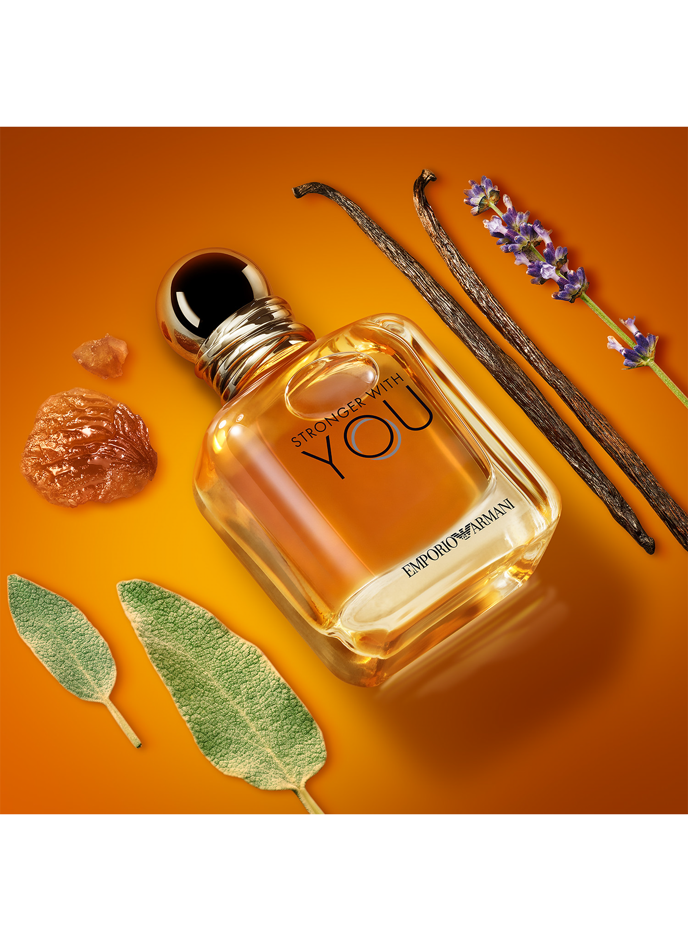 Emporio Stronger with You - Eau de Toilette ARMANI No color