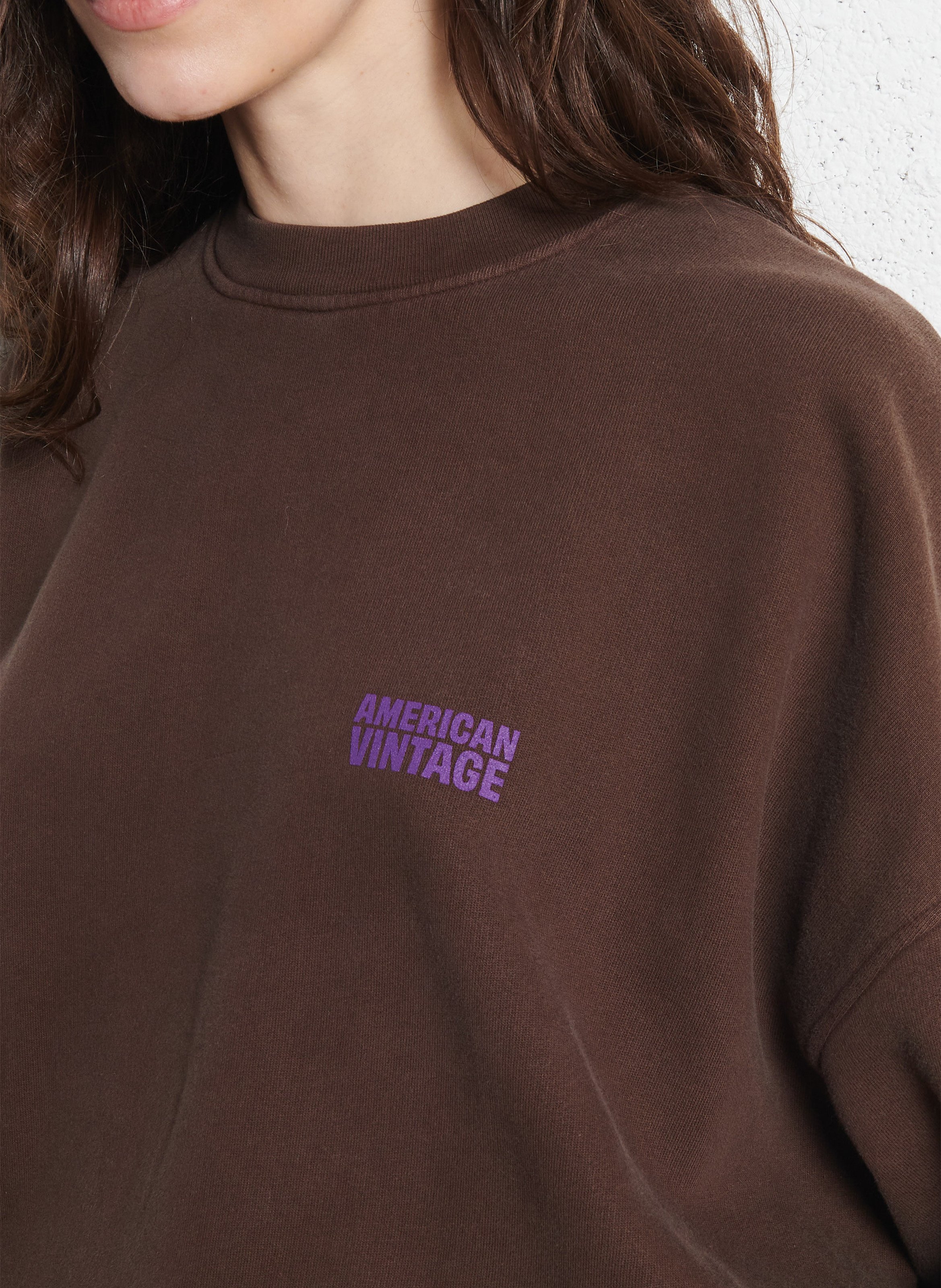 Sweat ample col rond sérigraphié en coton plizzy AMERICAN VINTAGE Marron
