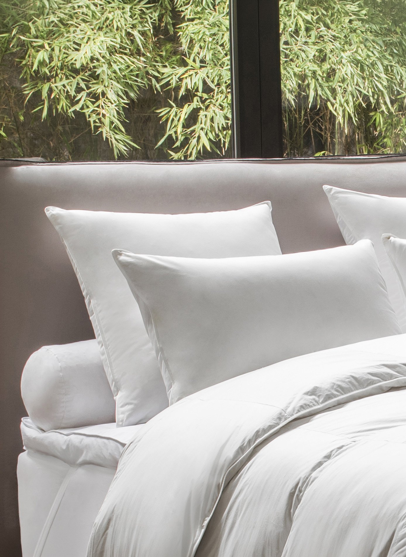 Oreiller enveloppe coton biologique - 50% duvet canard et oie - medium DROUAULT Blanc