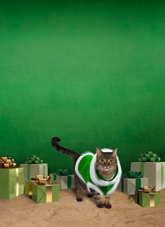 Digital Fashion, Noel, Printemps, Metaverse