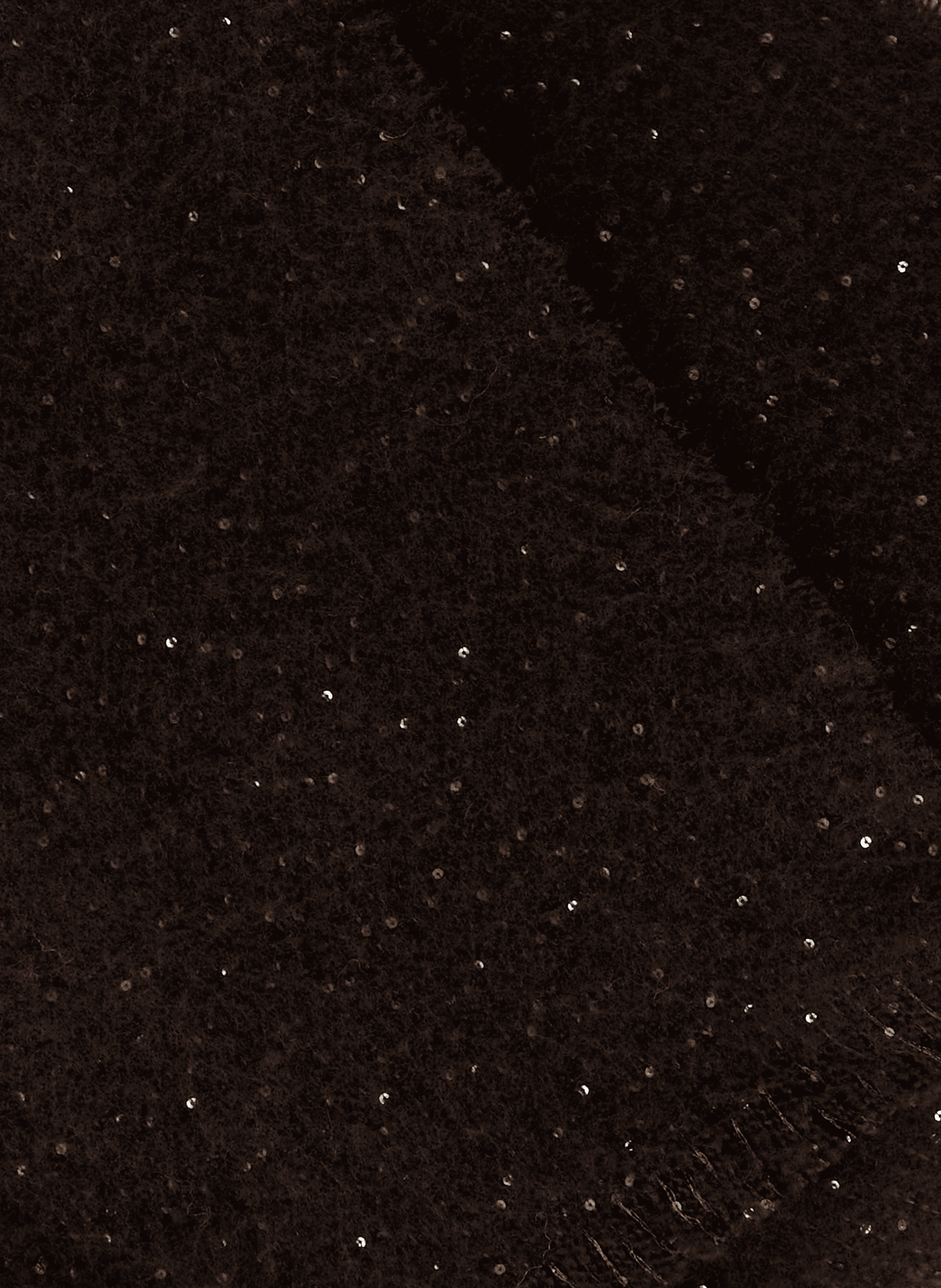 Echarpe à sequins AU PRINTEMPS PARIS Marron